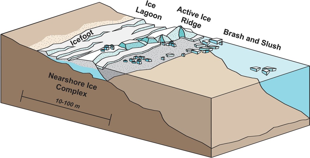 Conceptual diagram of the components of the nearshore ice complex (NIC).