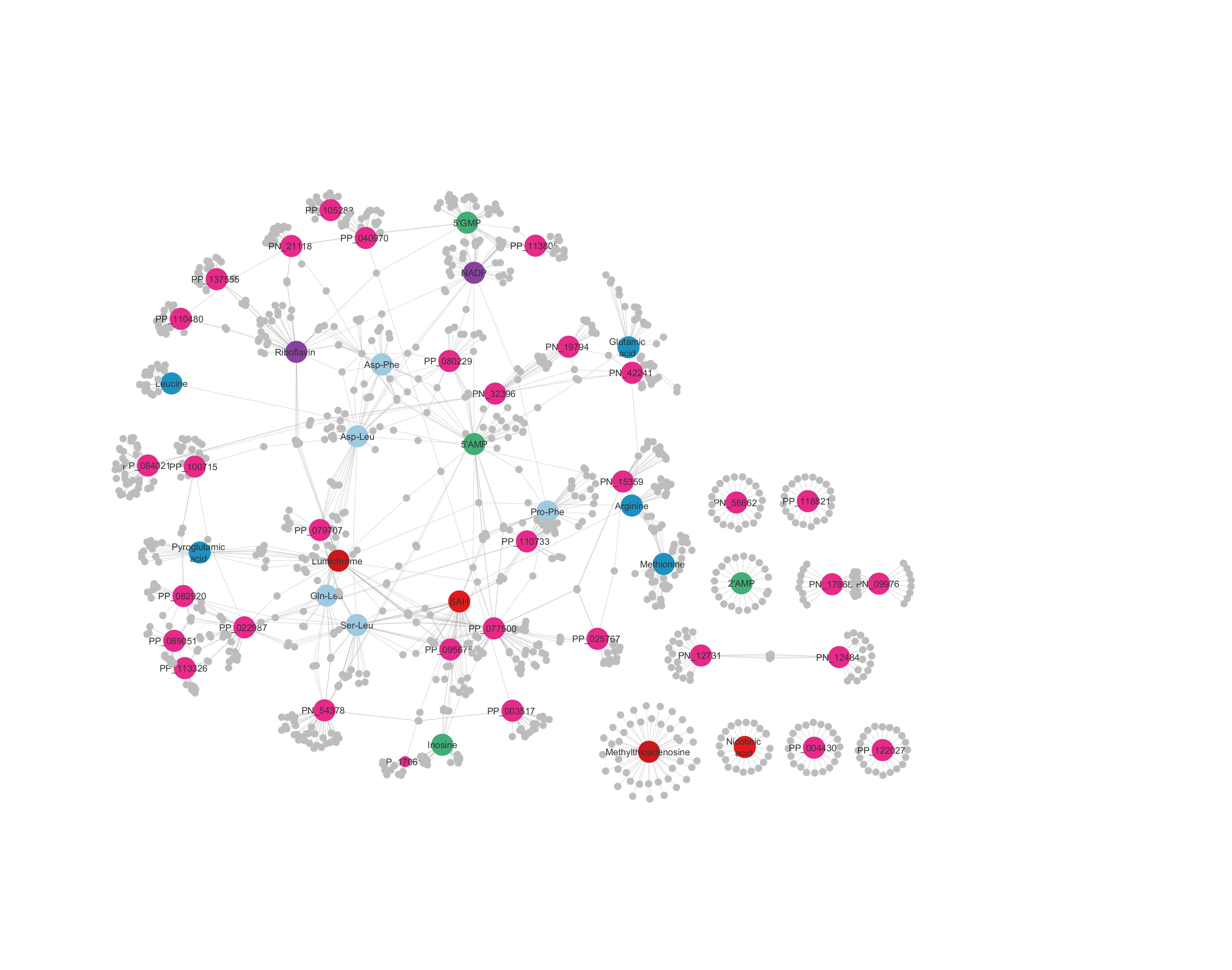 An interaction network for the model organism Arabidopsis. The larger color circles represent metabolites, while the smaller gray circles are proteins. The pink circles are metabolites whose functions haven't yet been identified. Such maps help researchers visualize the likelihood of metabolite-protein interactions.