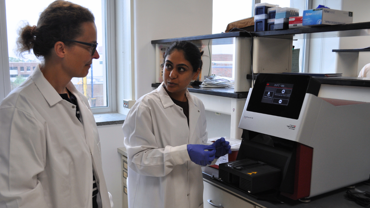 Aleksandra Skirycz (left) and postdoctoral researcher Pallavi Agarwal in the group's MSU laboratory. Using an analytical method called PROMIS, Skirycz will begin casting a wider 'net' in the search for metabolites and determining their functions.