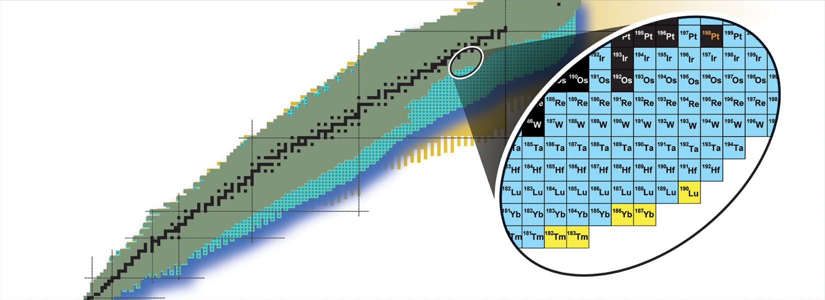 A table of nuclides provides a graphical way to organize known isotopes. Moving up the table, isotopes have more protons their nuclei. Moving left to right, isotopes have more neutrons. An inset highlights where the new isotopes reside — toward the top and at the right edge.