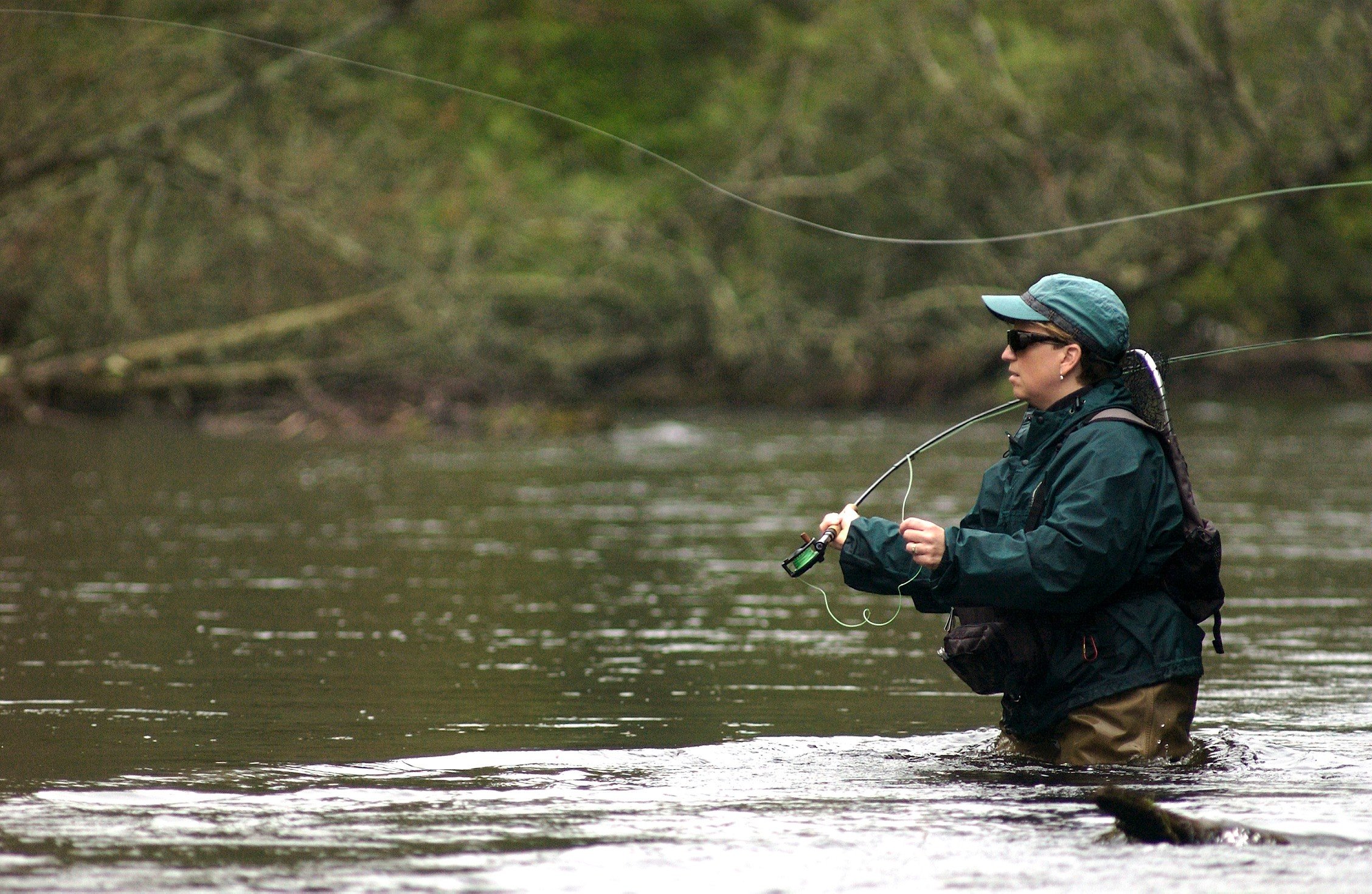 A researcher with a fly fishing rod casts a line in the Au Sauble River