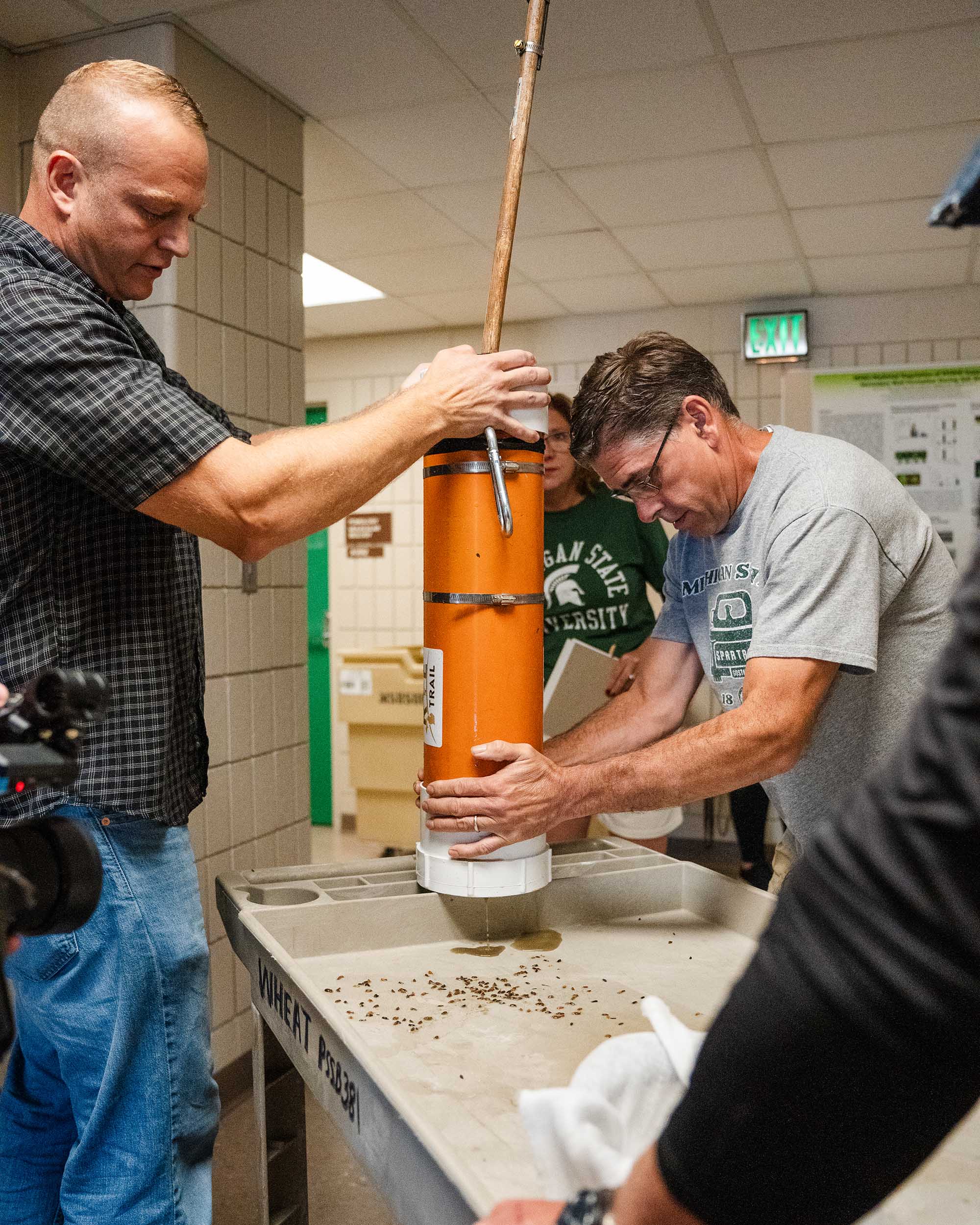 People emptying rye seed tubes in a lab