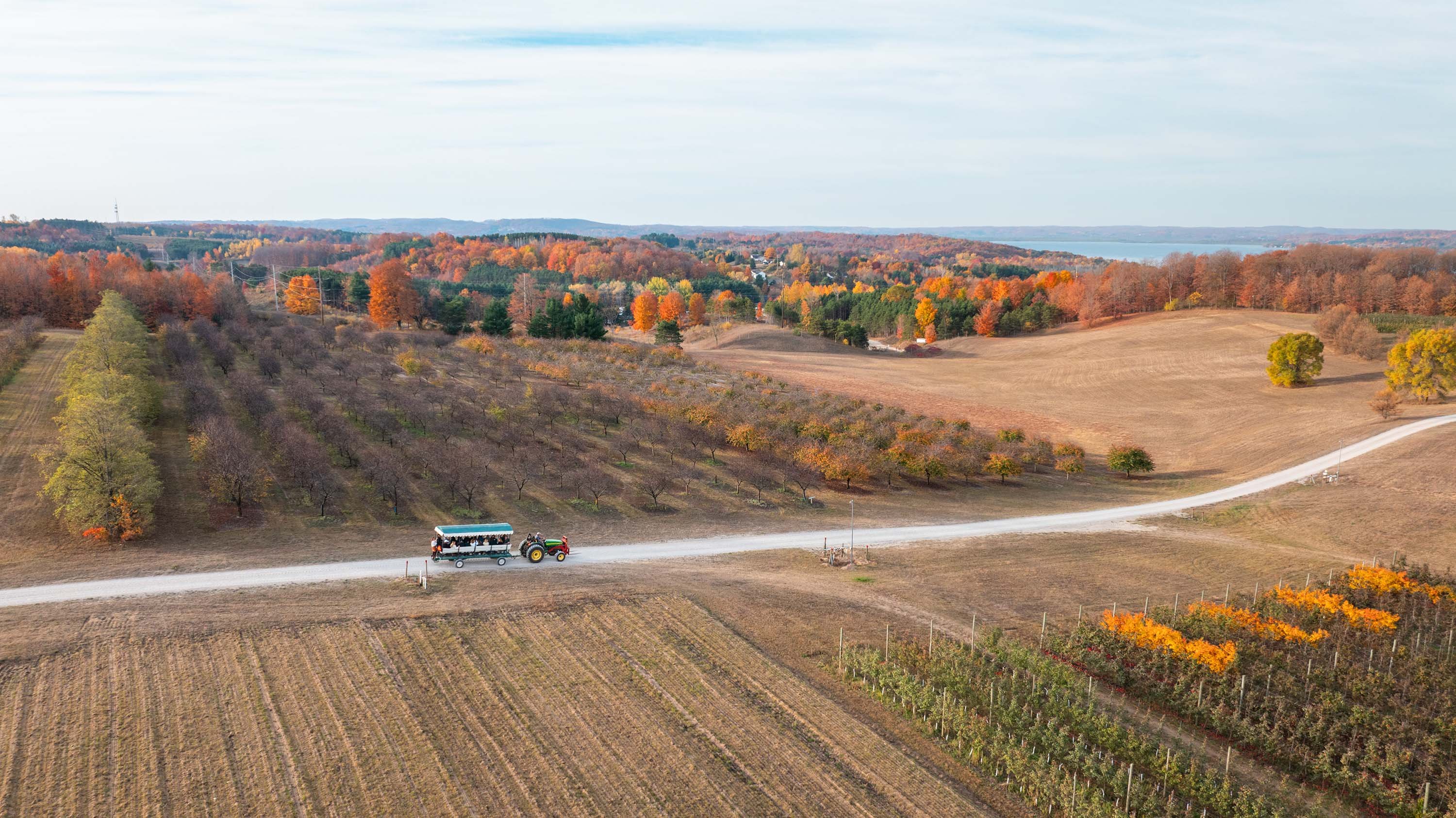 A tractor pulling a wagon near an orchard in the fall.
