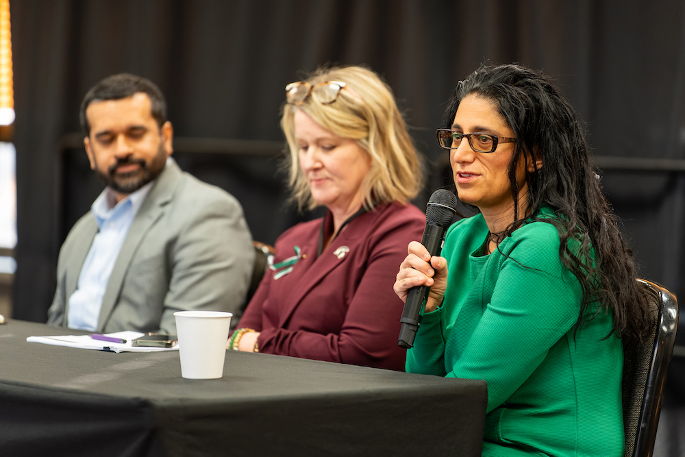 Mona Hanna-Attisha, associate dean for public health in the MSU College of Human Medicine. Photo credit Bryan Esler.
