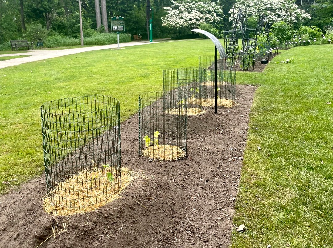 Four sisters garden