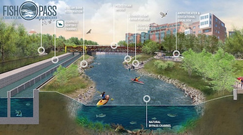 Graphic of a river showing where a fish pass channel will be installed