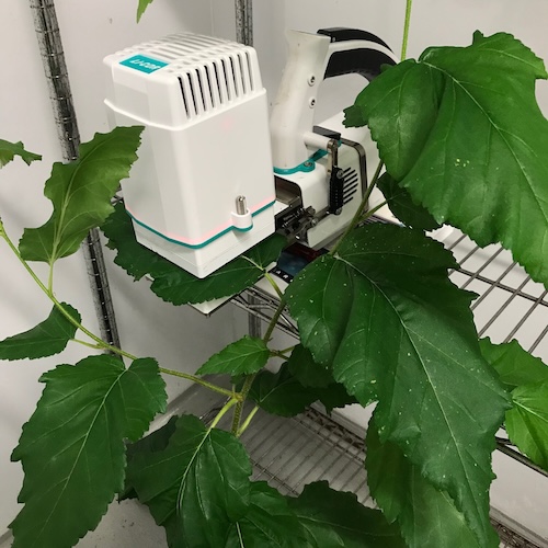 Instruments, such as the LICOR pictured here, can be used by researchers to measure the rate of photosynthesis occurring in a plant. By Mitchell Zimmer