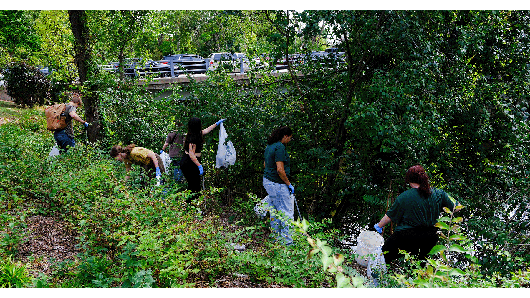 People cleaning Red Cedar River