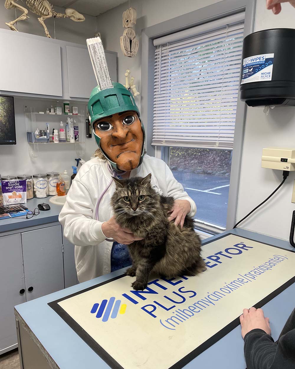 Patricia McCabe in papier-mache Sparty mask while working as a vet