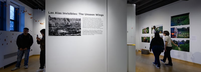 exhibition with photos and text on walls and visitors in the space