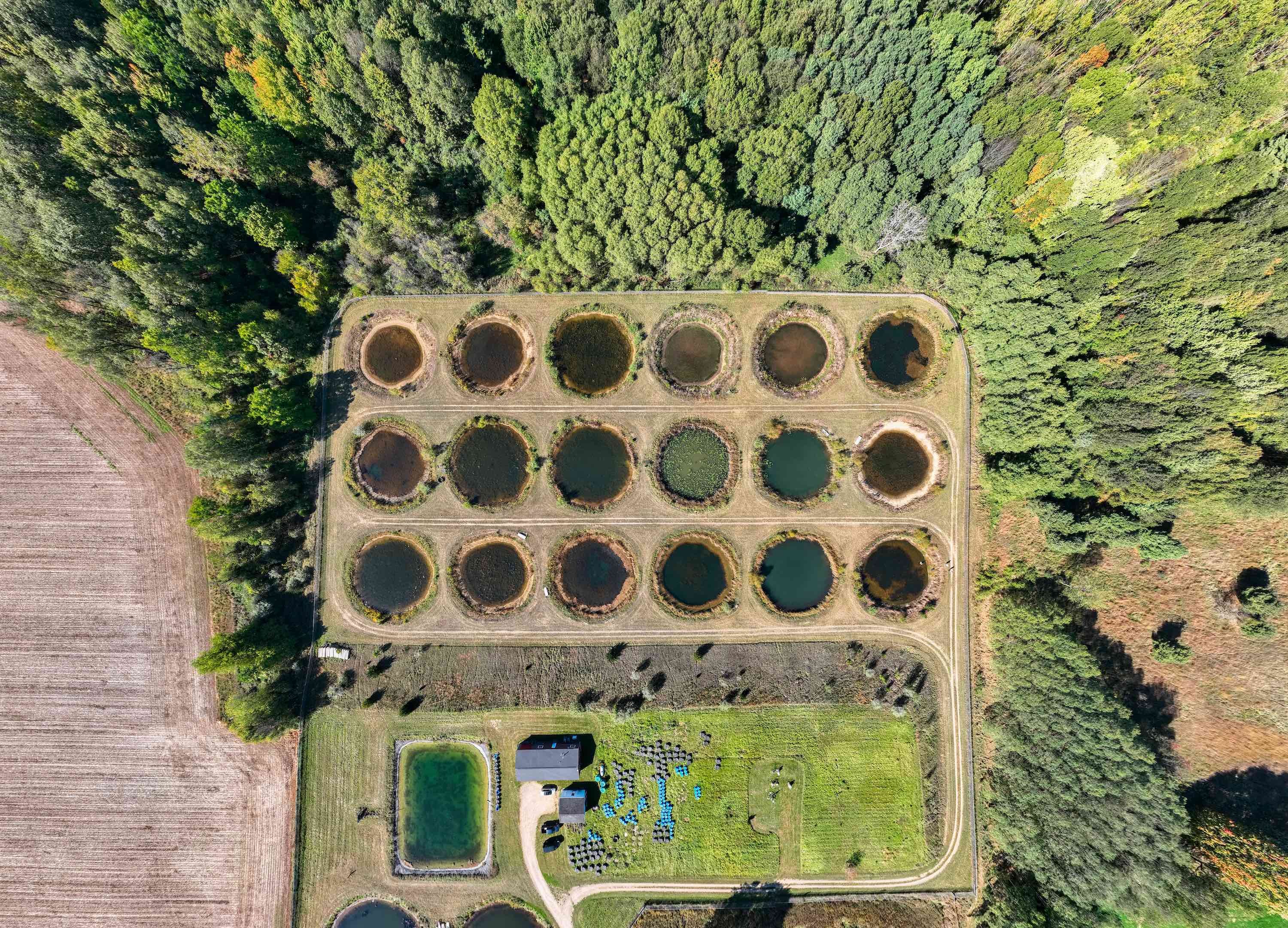 An aerial view of 18 circular ponds at the Kellogg Biological station