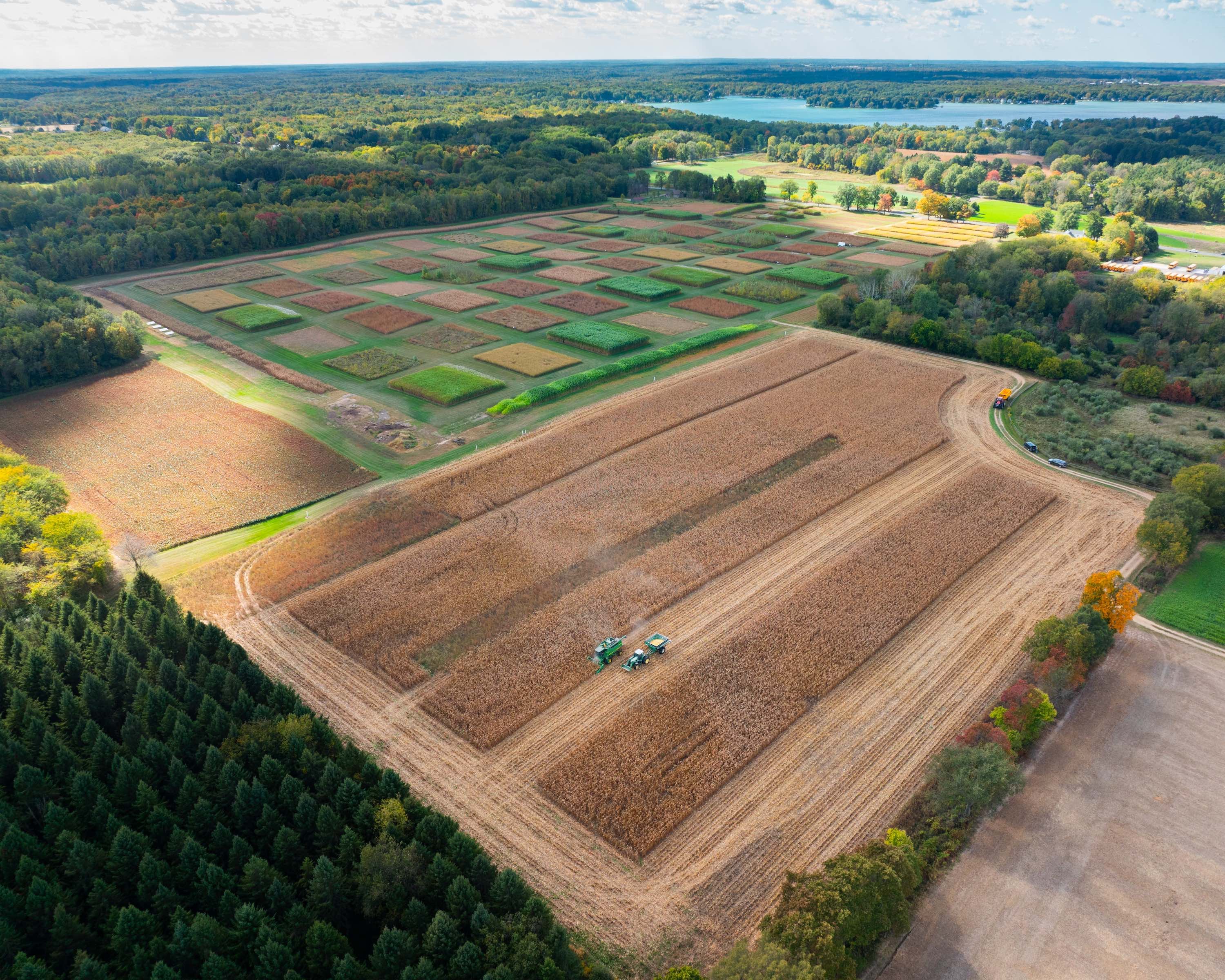 An aerial view of a tractor harvesting in a corn field with other slightly different colored green fields and a lake in the distance