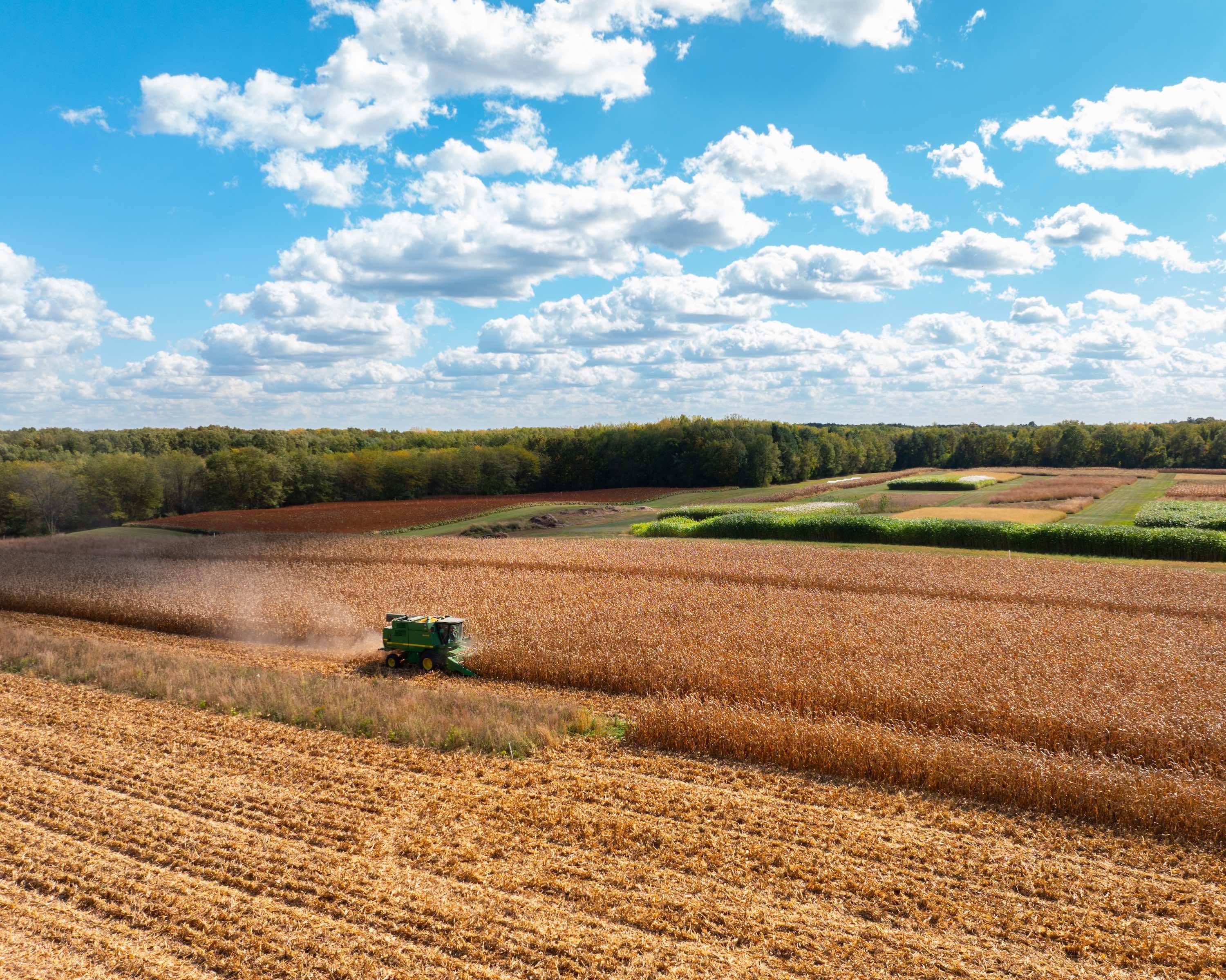 An aerial view of the Kellogg Biological station, as a tractor harvests in a golden corn field with tress and a cloud-filled sky in the background