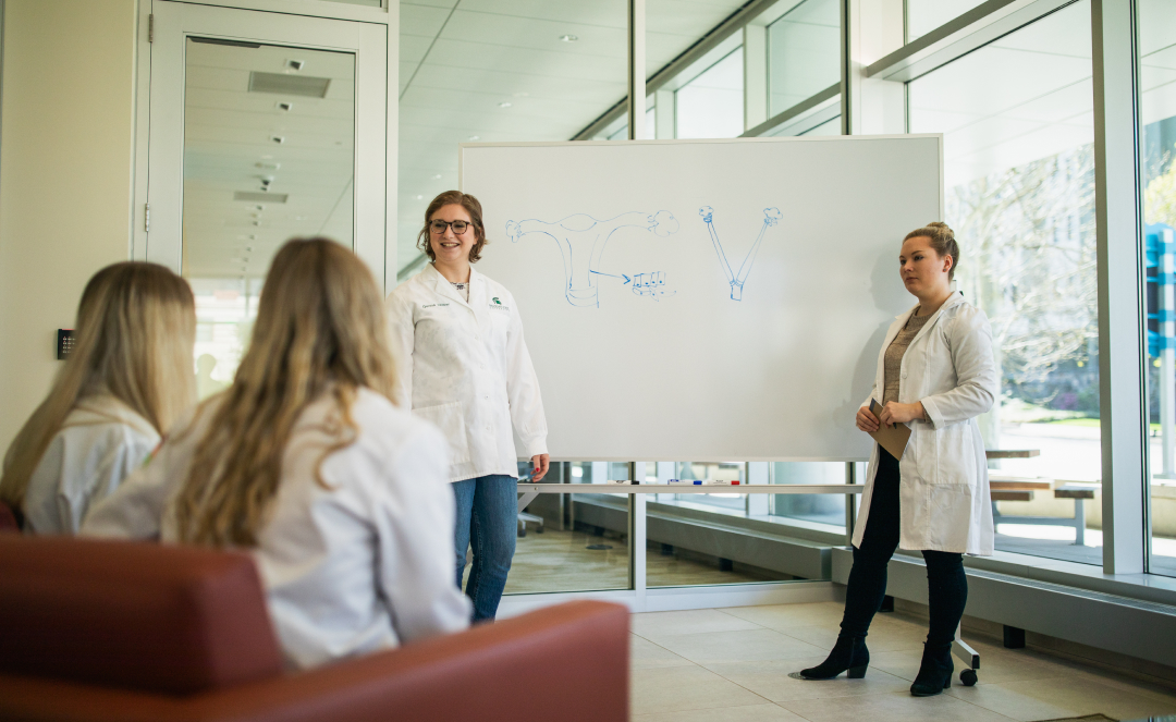Medical students in a classroom setting discuss women's reproductive health, highlighting the educational impact of the Walstroms' $1 million gift to MSU's College of Human Medicine.