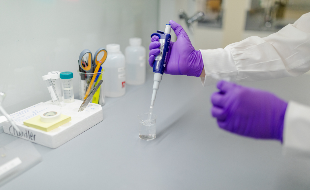 A researcher performs a laboratory procedure, showcasing the scientific advancements and research projects made possible by the Walstrom Family Endowed Women?s Health Research Fund.