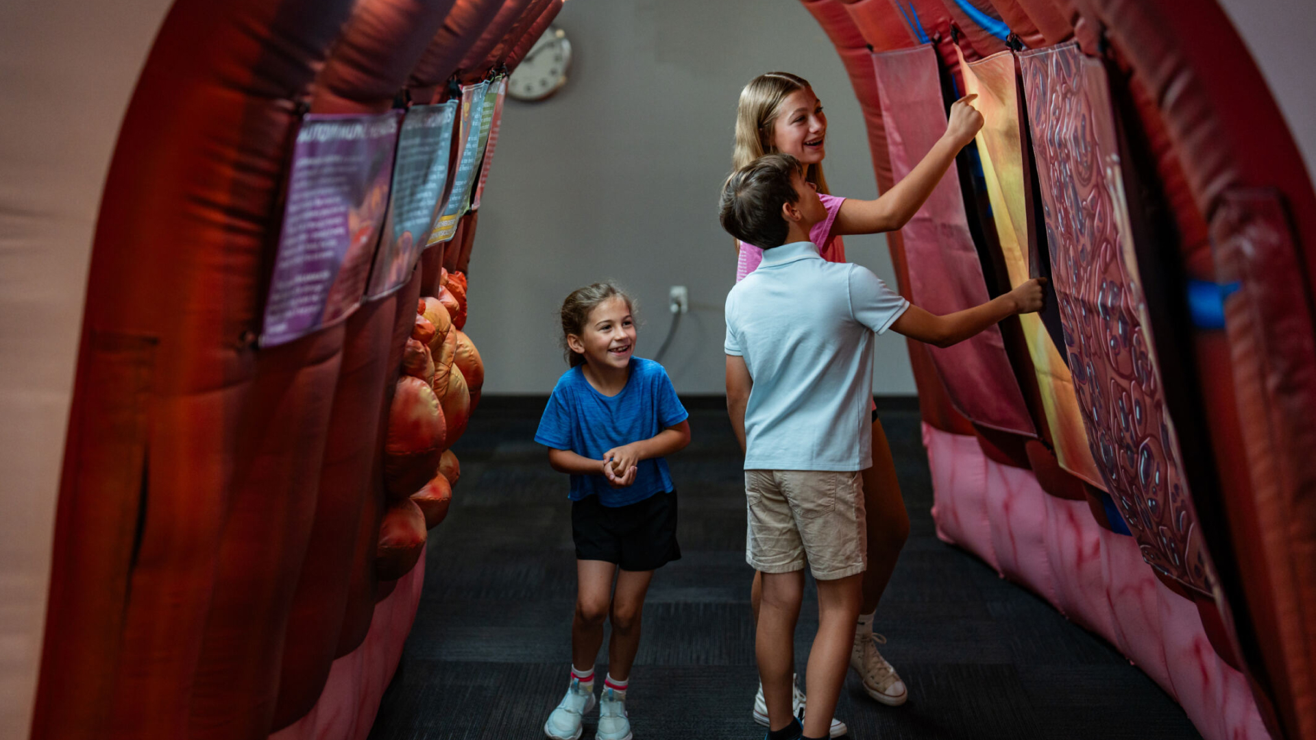 isitors can step inside an inflatable version of a human liver and learn about how it works at the new Organ Adventure exhibit at Impression 5 Science Center. Sponsored by MSU Health Care, the exhibit opens to the public June 15. Photo by Nick Schrader, Michigan State University.