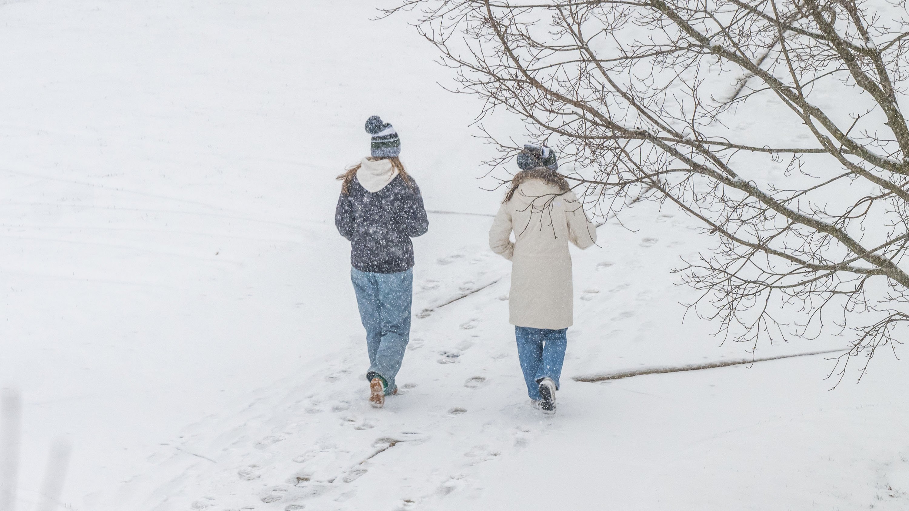 Two people wearing matching hats walking in snow
