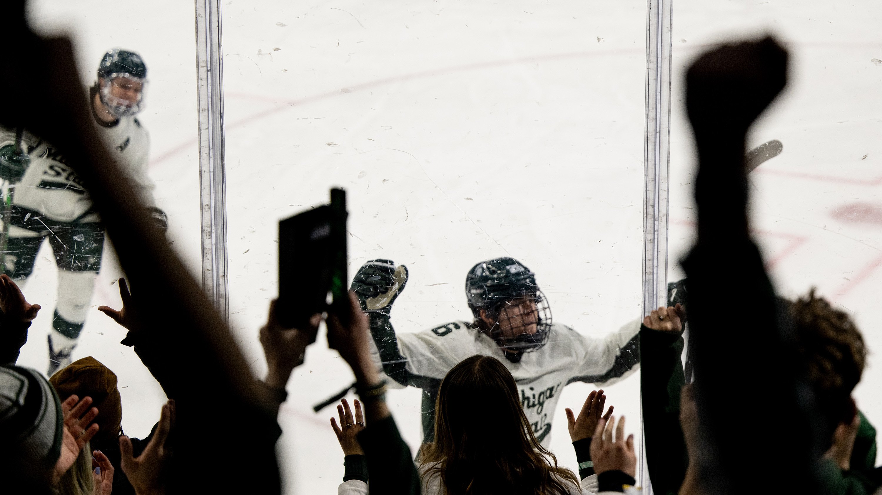 Crowd cheering in front of hockey player