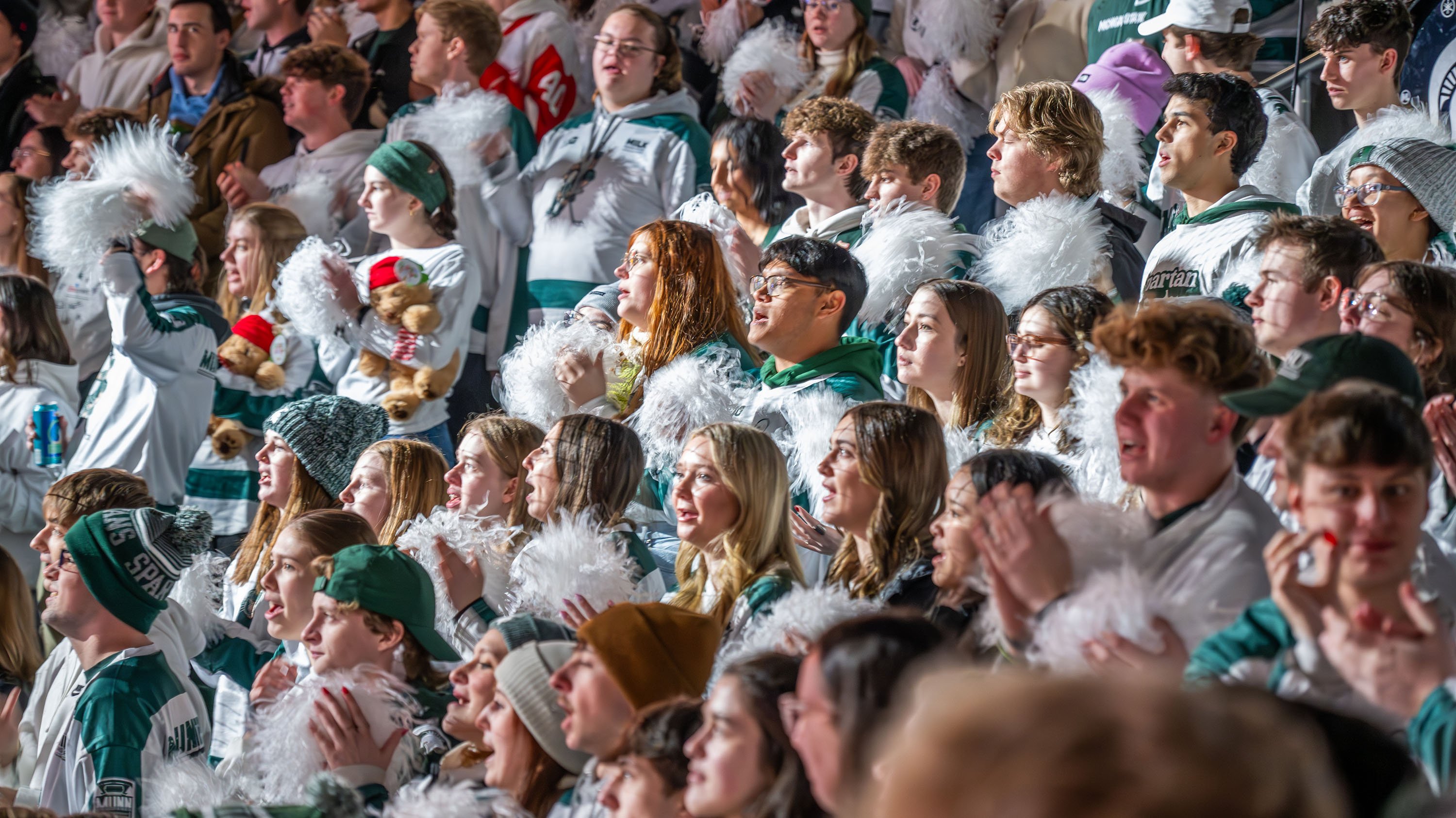 Fans at an MSU hockey game