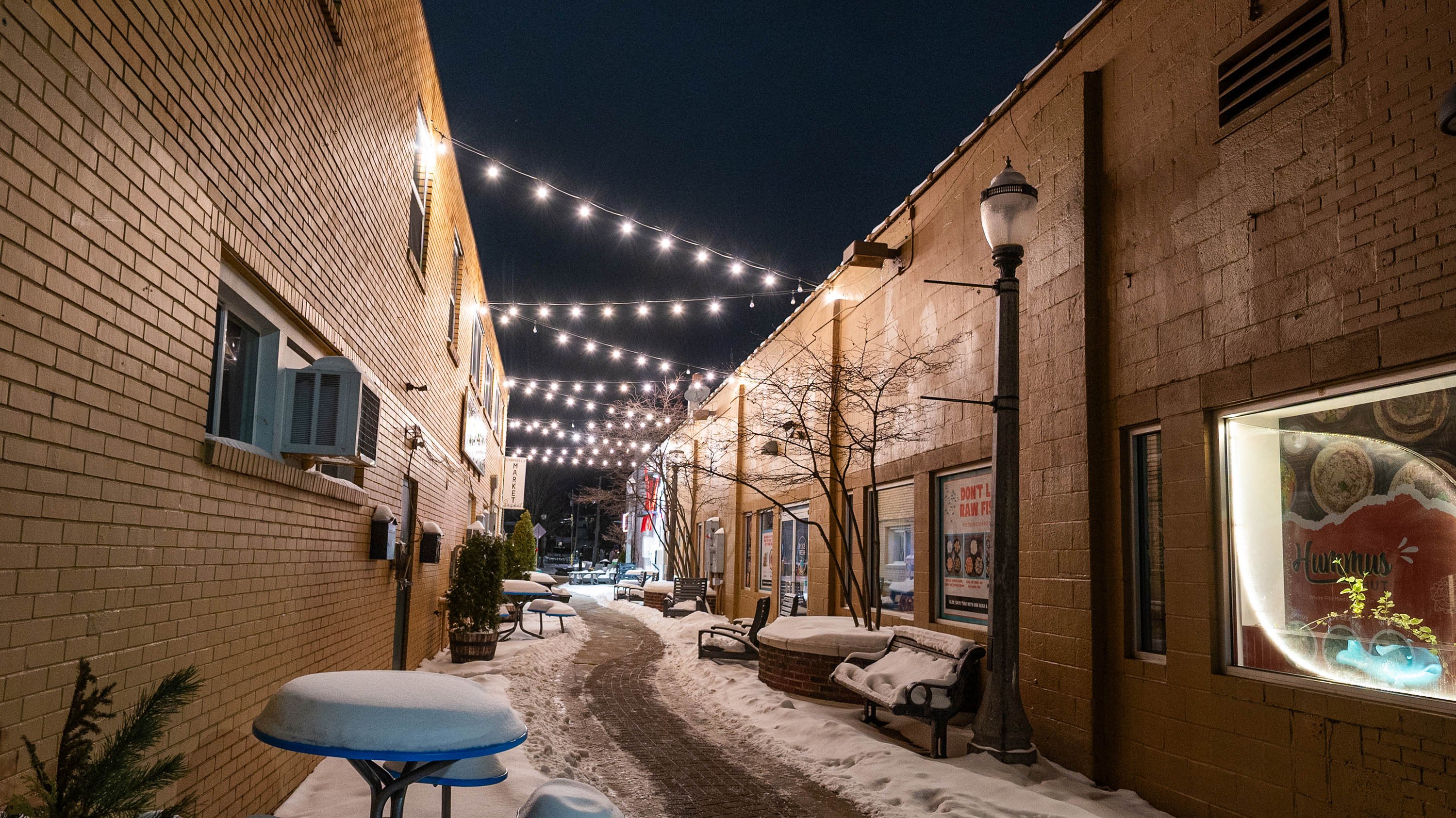 Twinkle lights in an alley in East Lansing