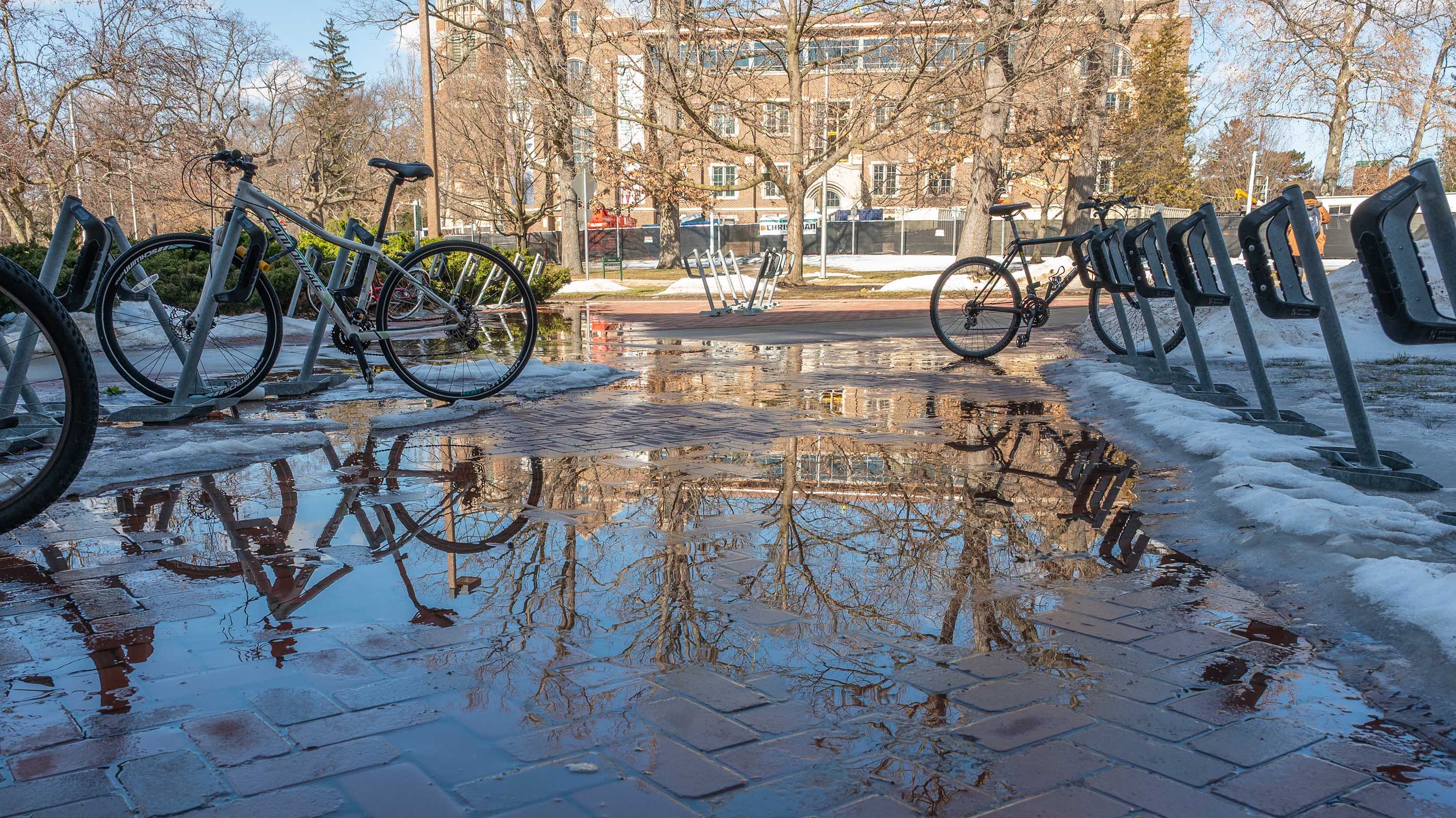 Reflection of bike racks and tree branches in a puddle in front of Olds Hall