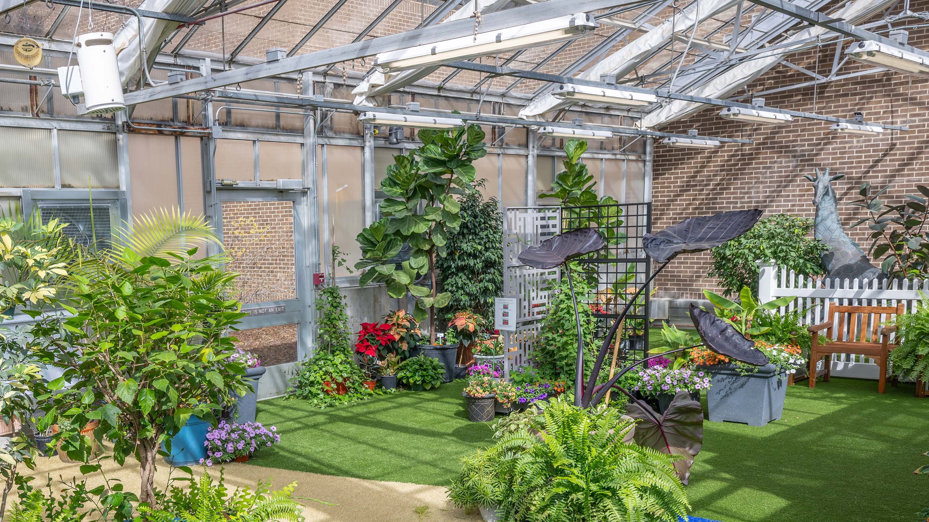 4H Indoor Garden