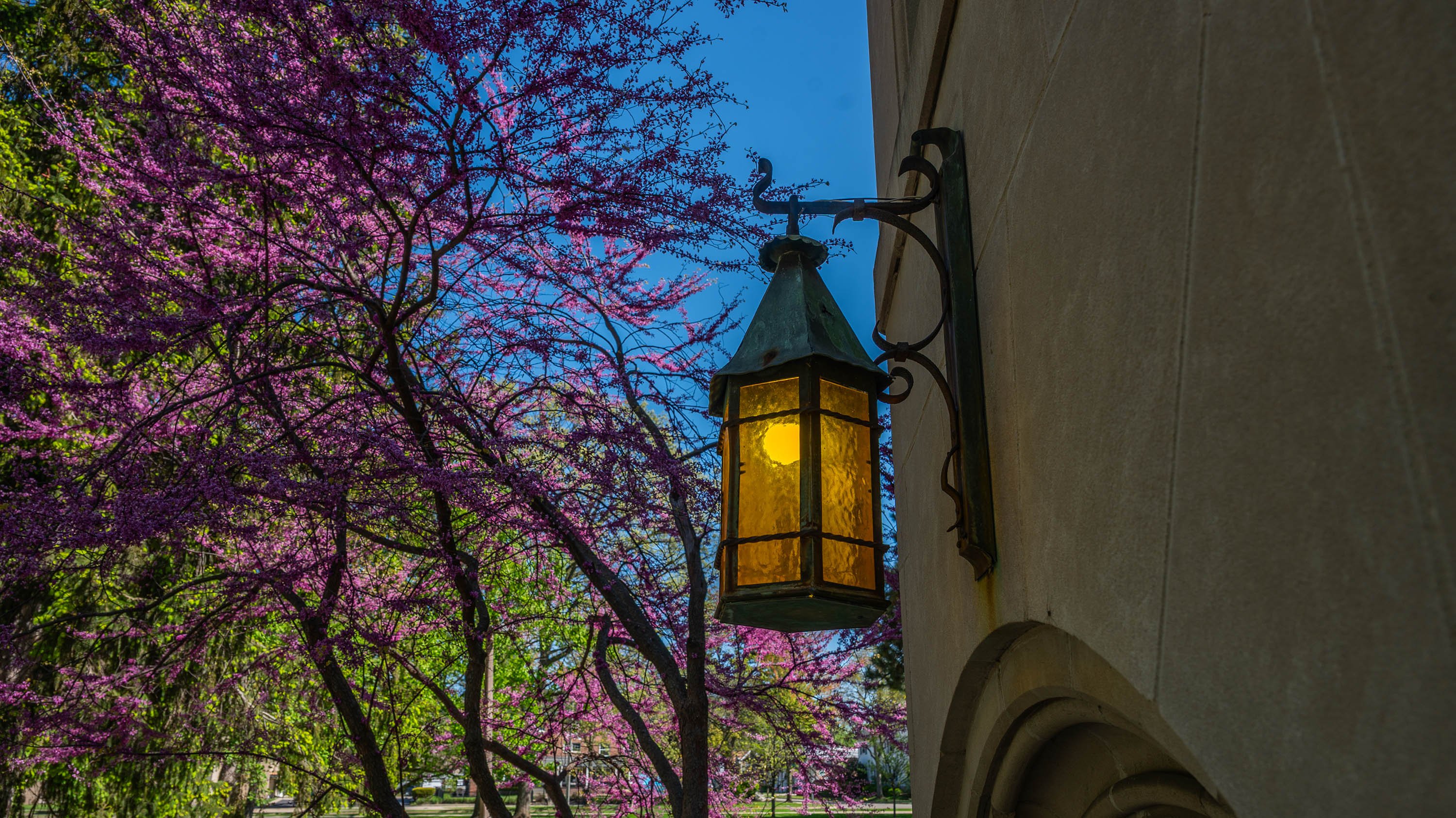 Classic MSU lantern