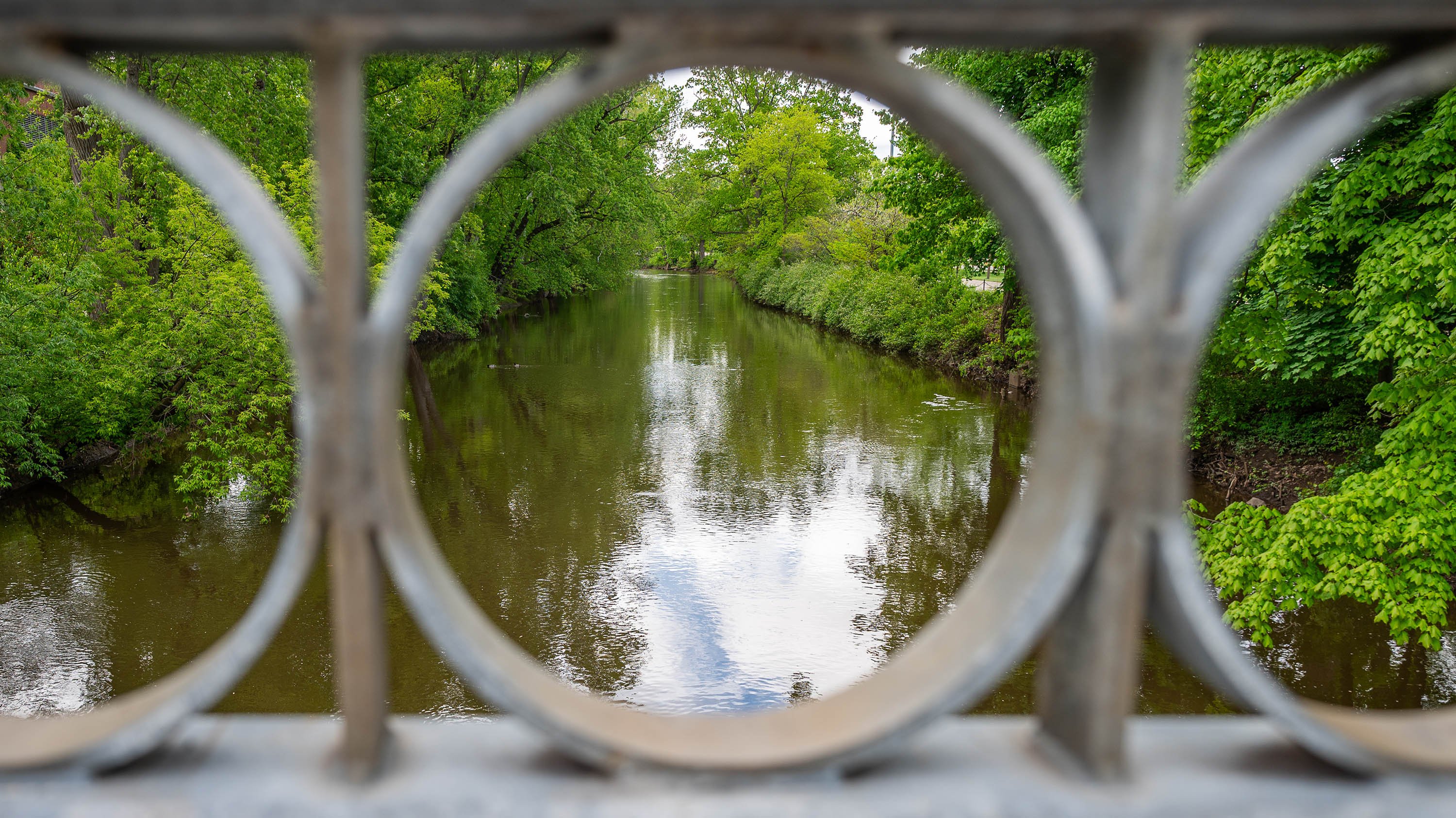 Red Cedar River viewed through the railing on Beal Street Bridge