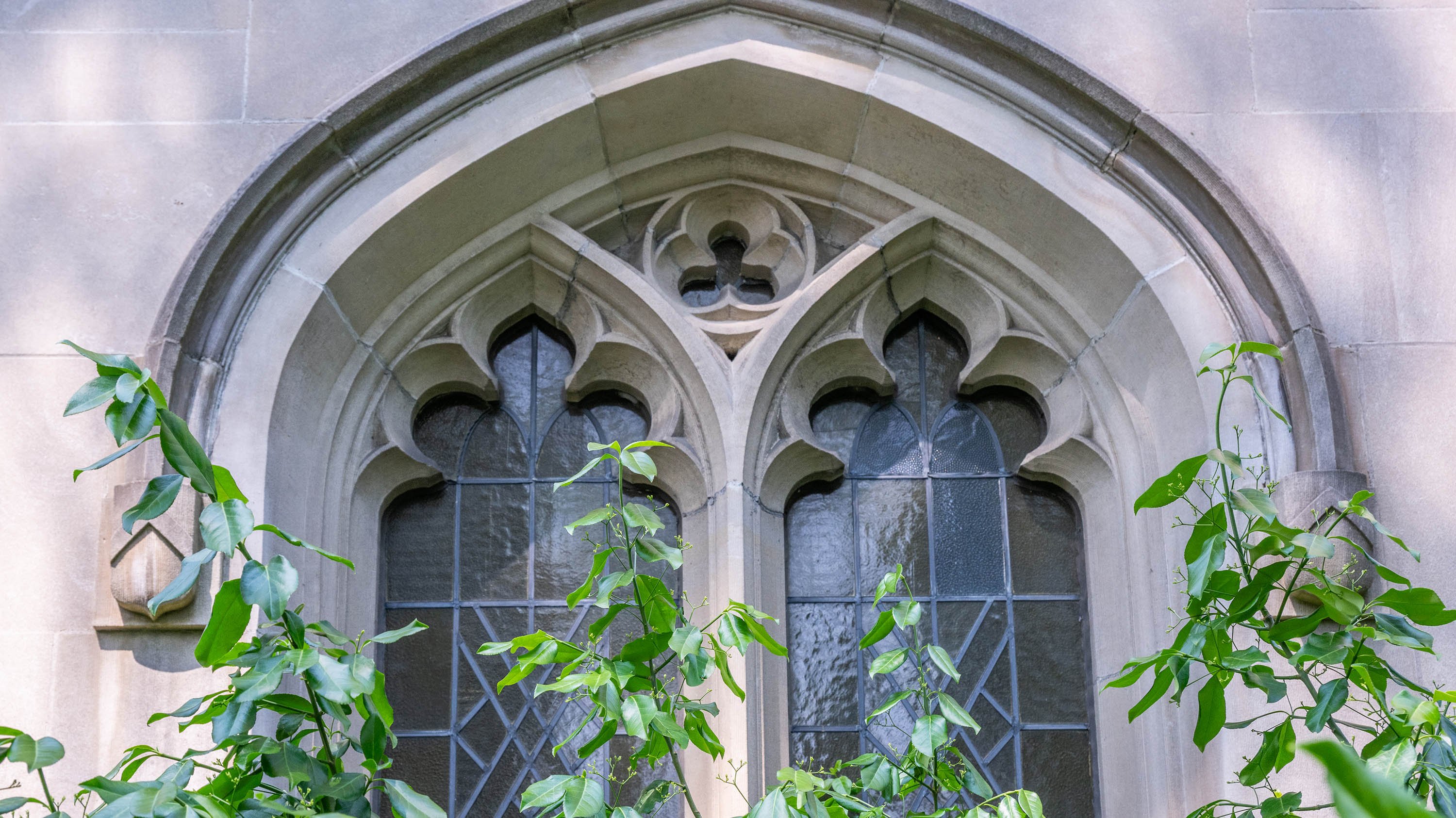 Windows of Beaumont Tower