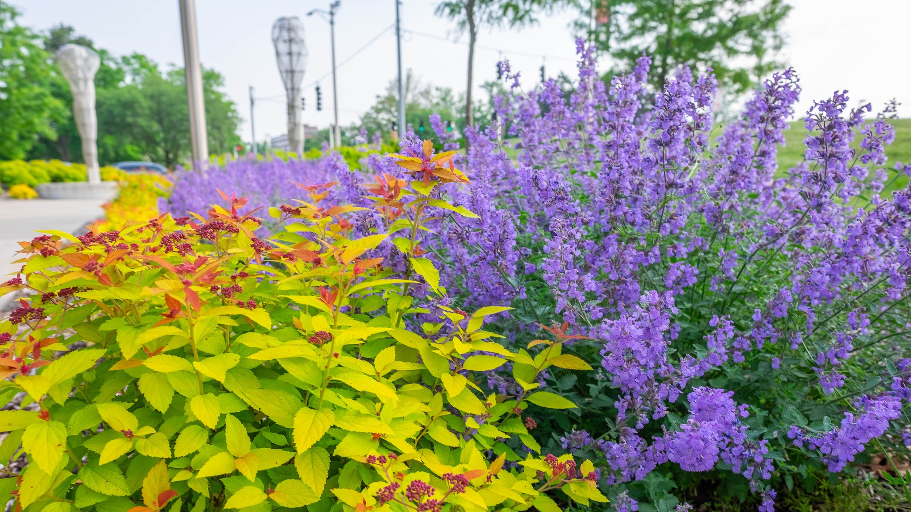 Landscaping by 1855 Place