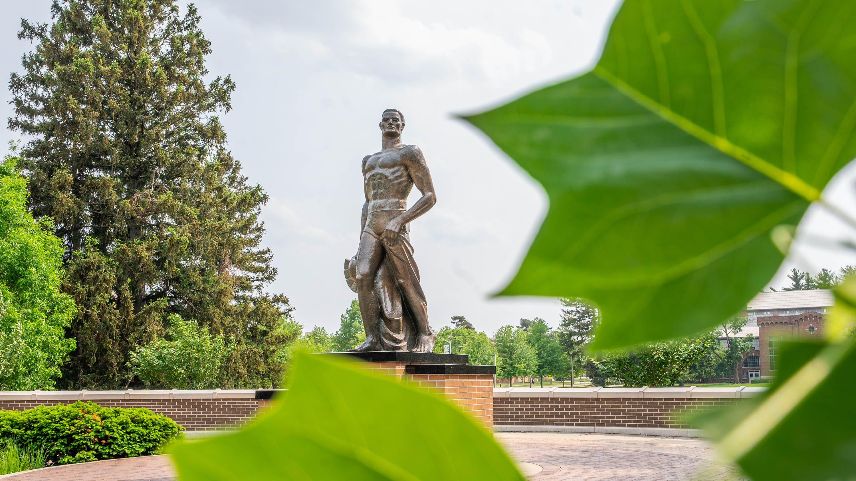 Leaves in front of Spartan Statue