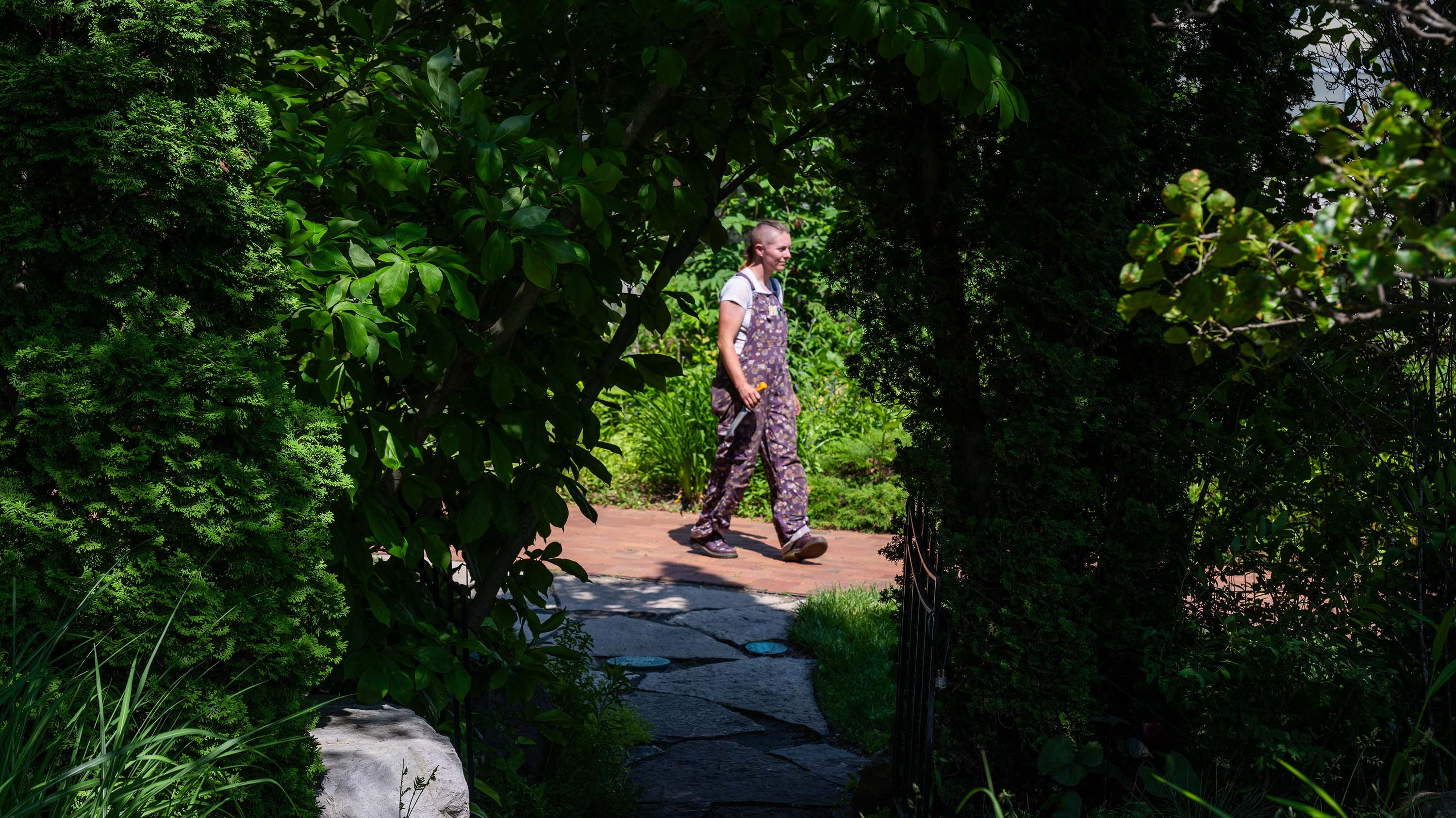 Person walking in garden
