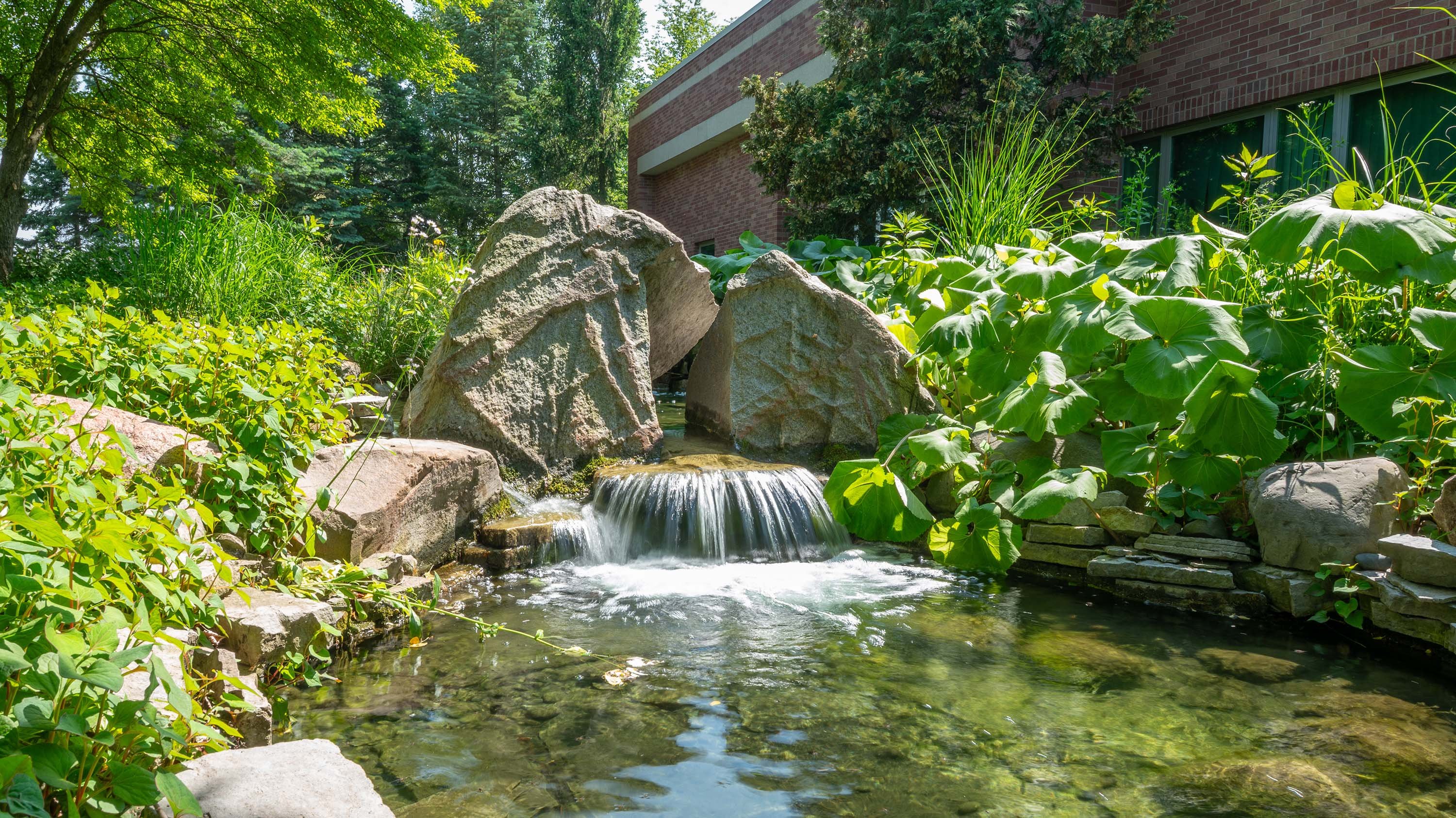 Radiology Healing Gardens