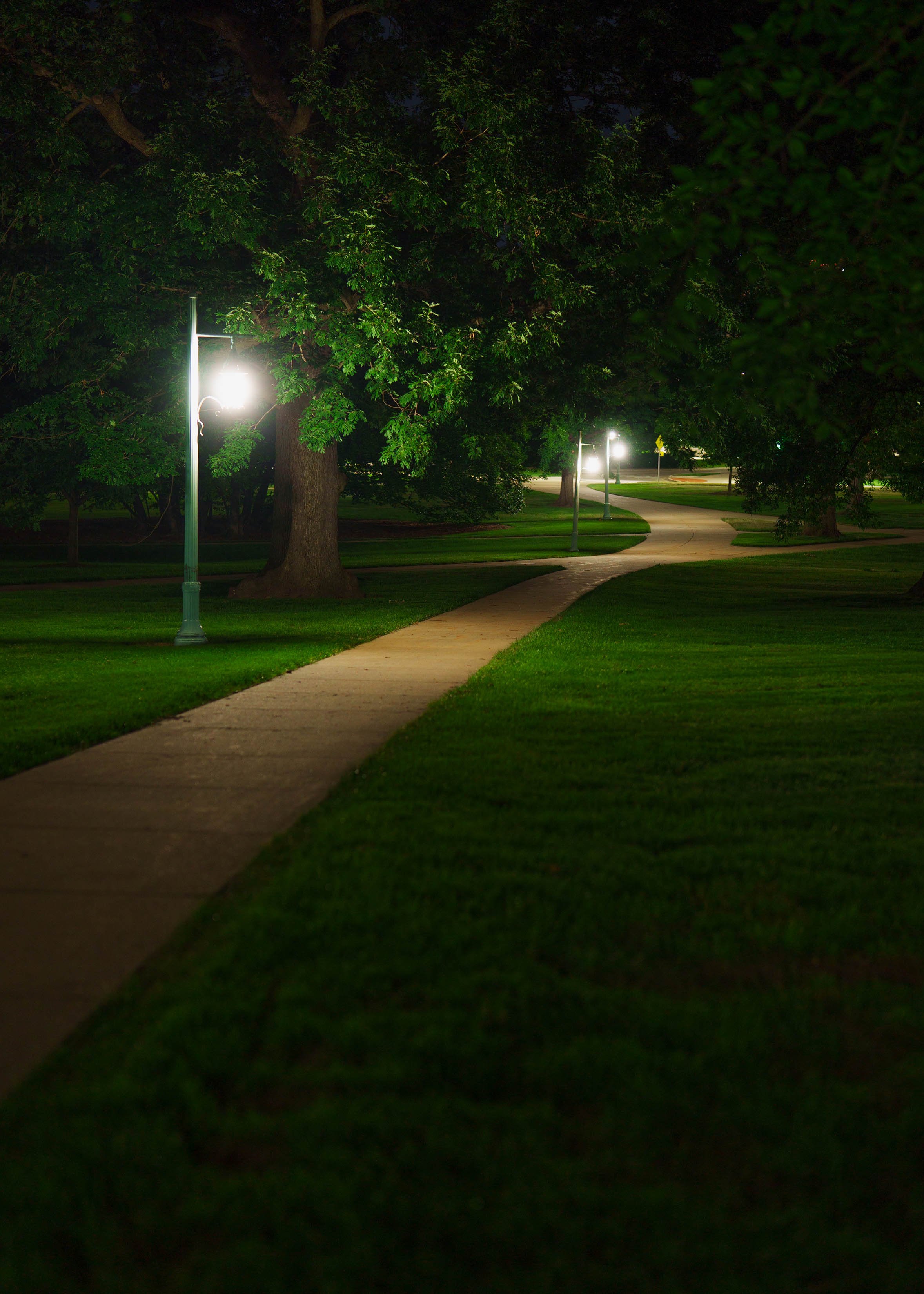 A campus path at MSU at night