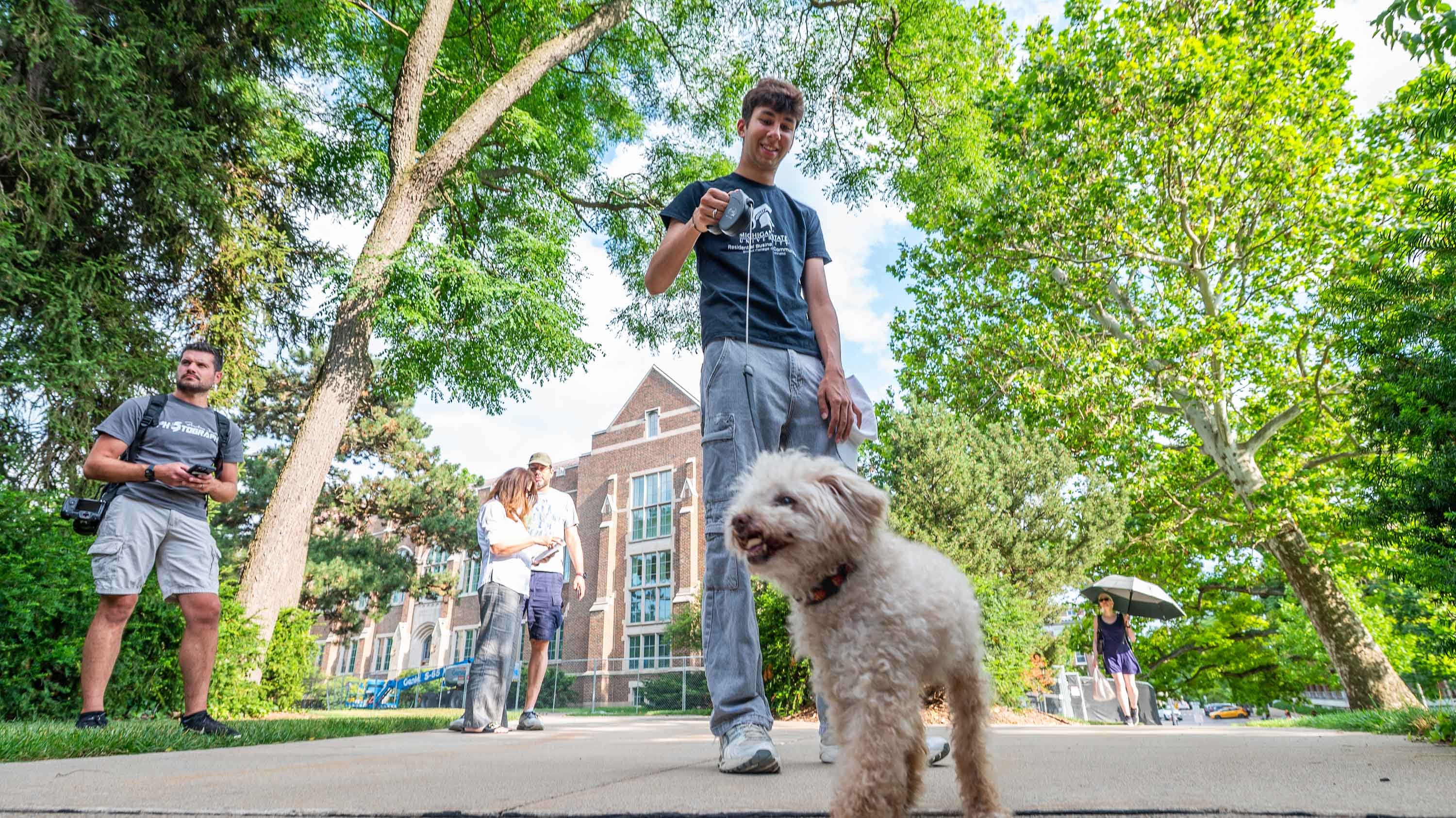 Person walking dog