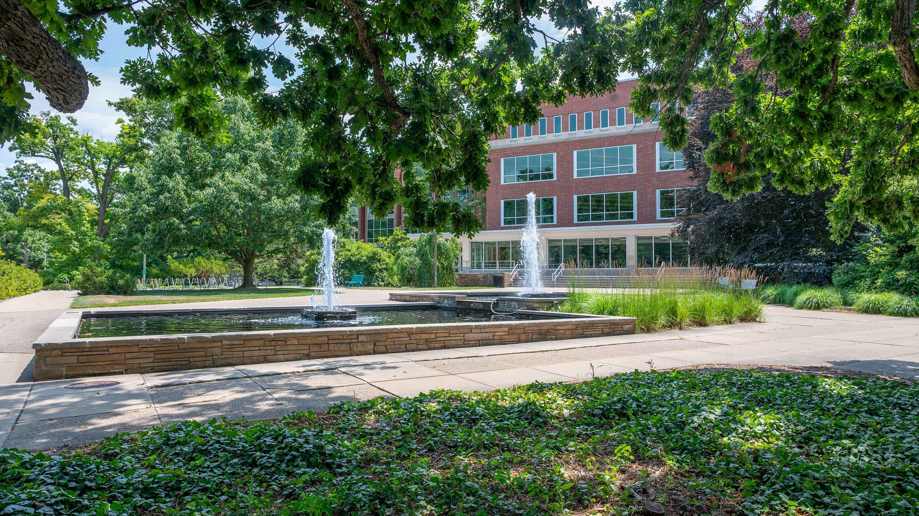 MSU main library fountains