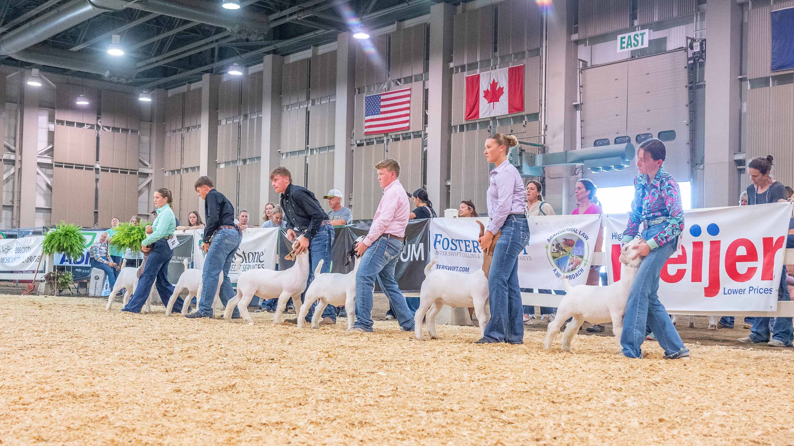 Michigan Livestock Expo