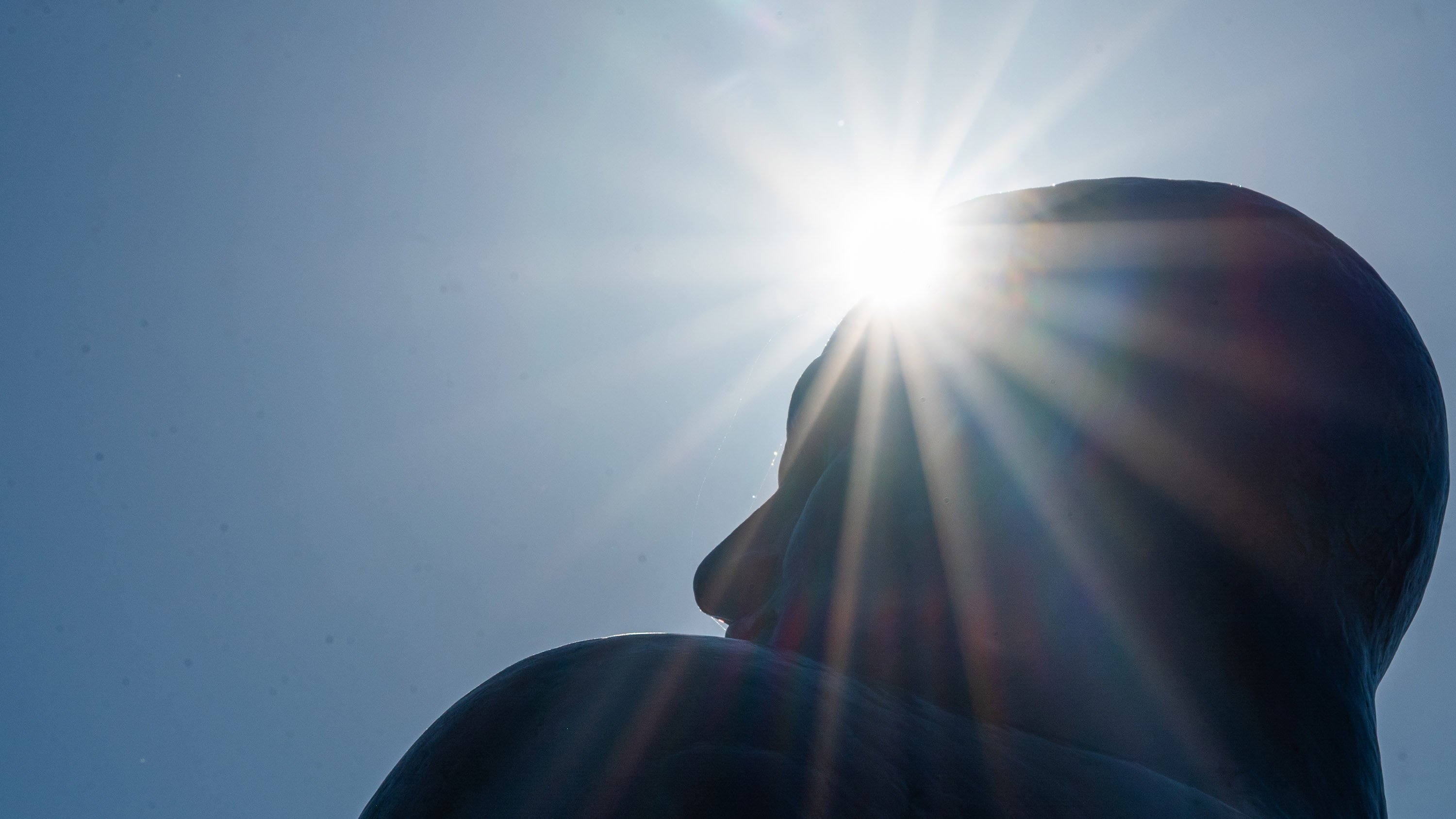 Sunlight glaring off of Spartan statue