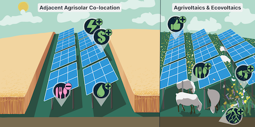 Diagram of Farms practicing adjacent agrisolar.