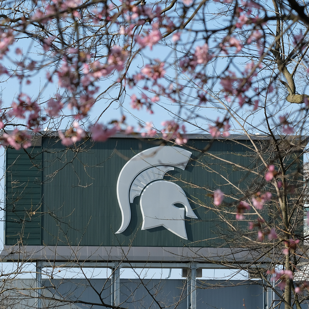 Touchdown, spring! | MSUToday | Michigan State University
