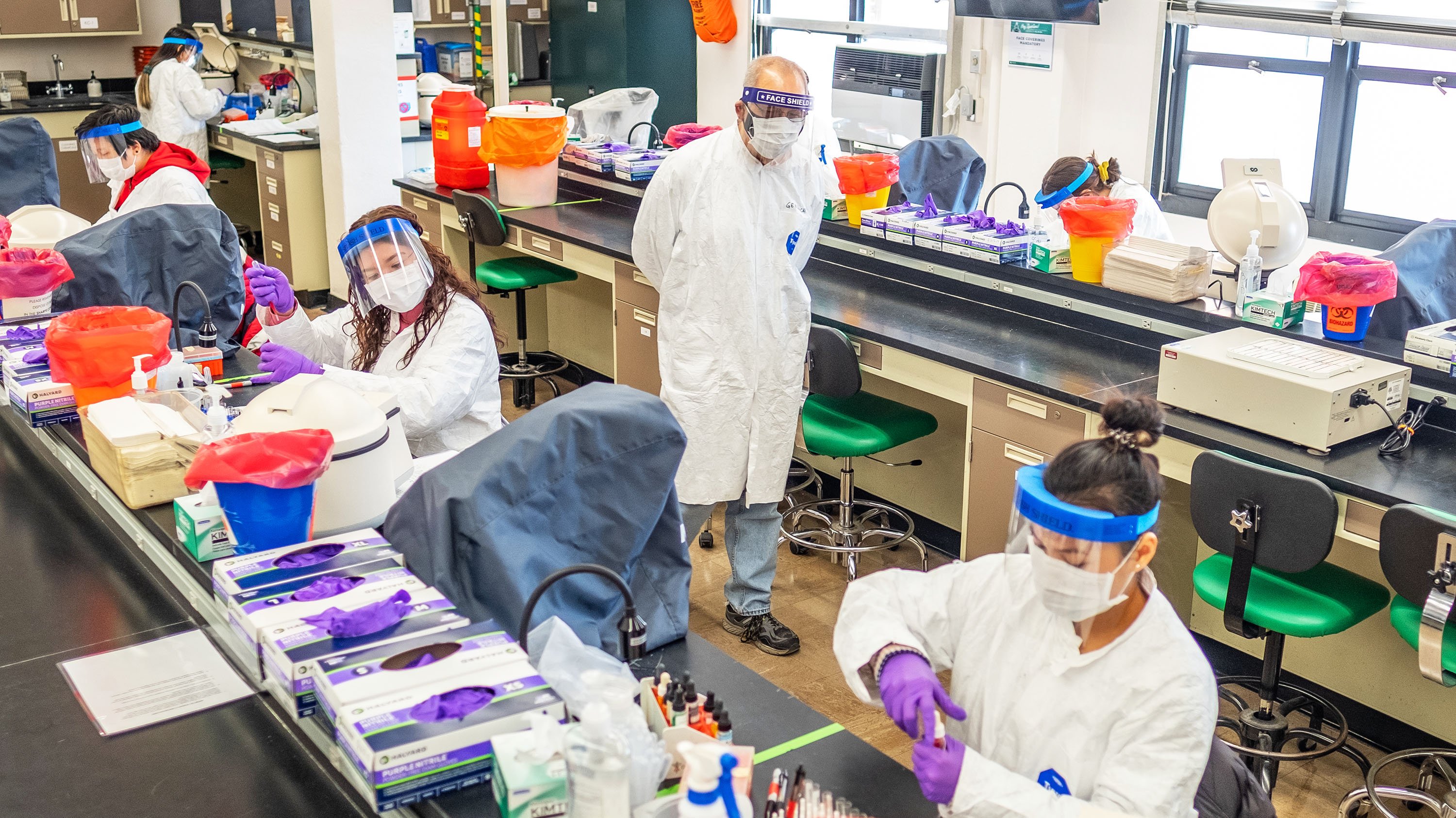 Students working in a lab
