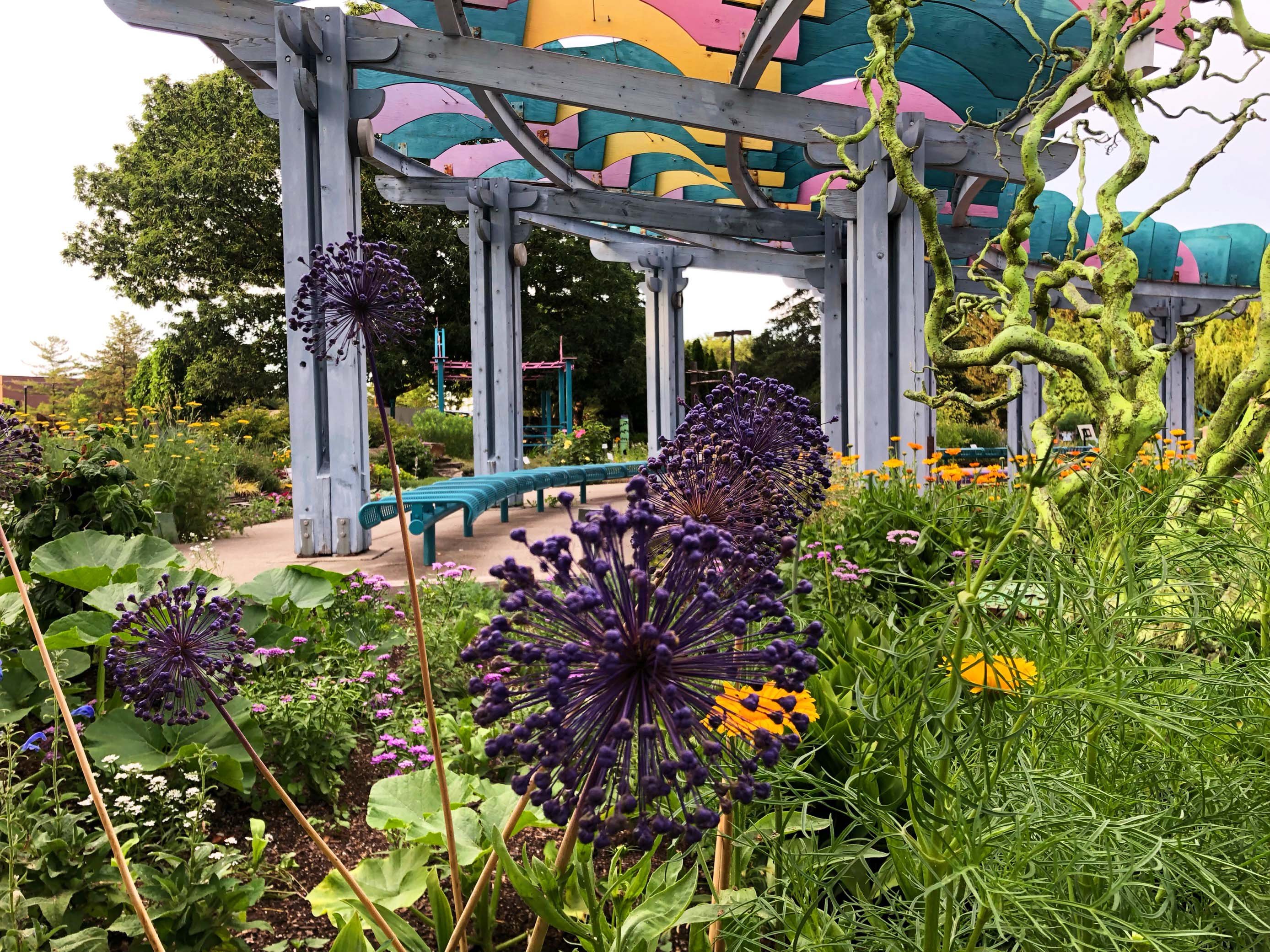 Flowers in the 4H Children's Garden