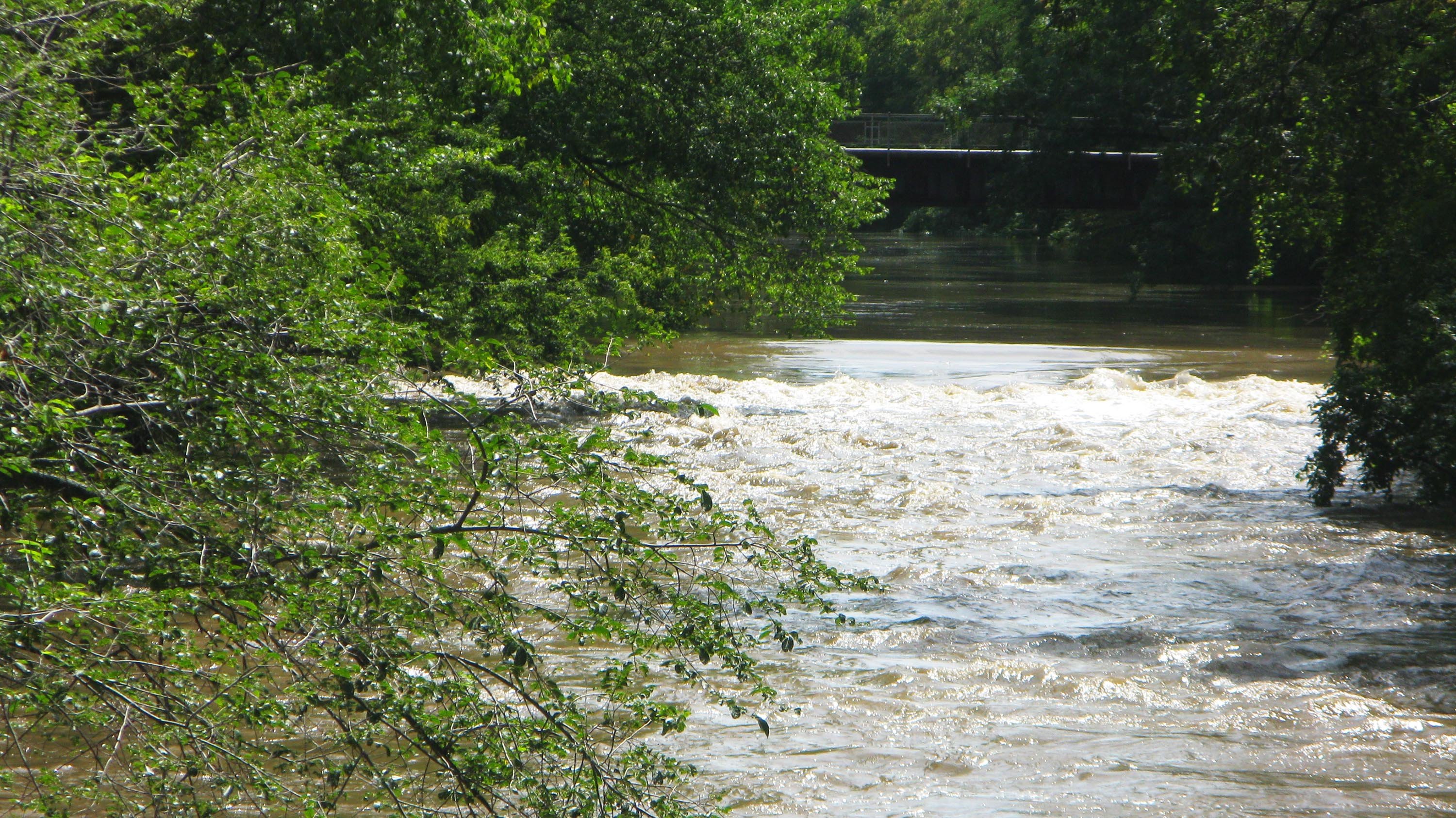 Red Cedar river