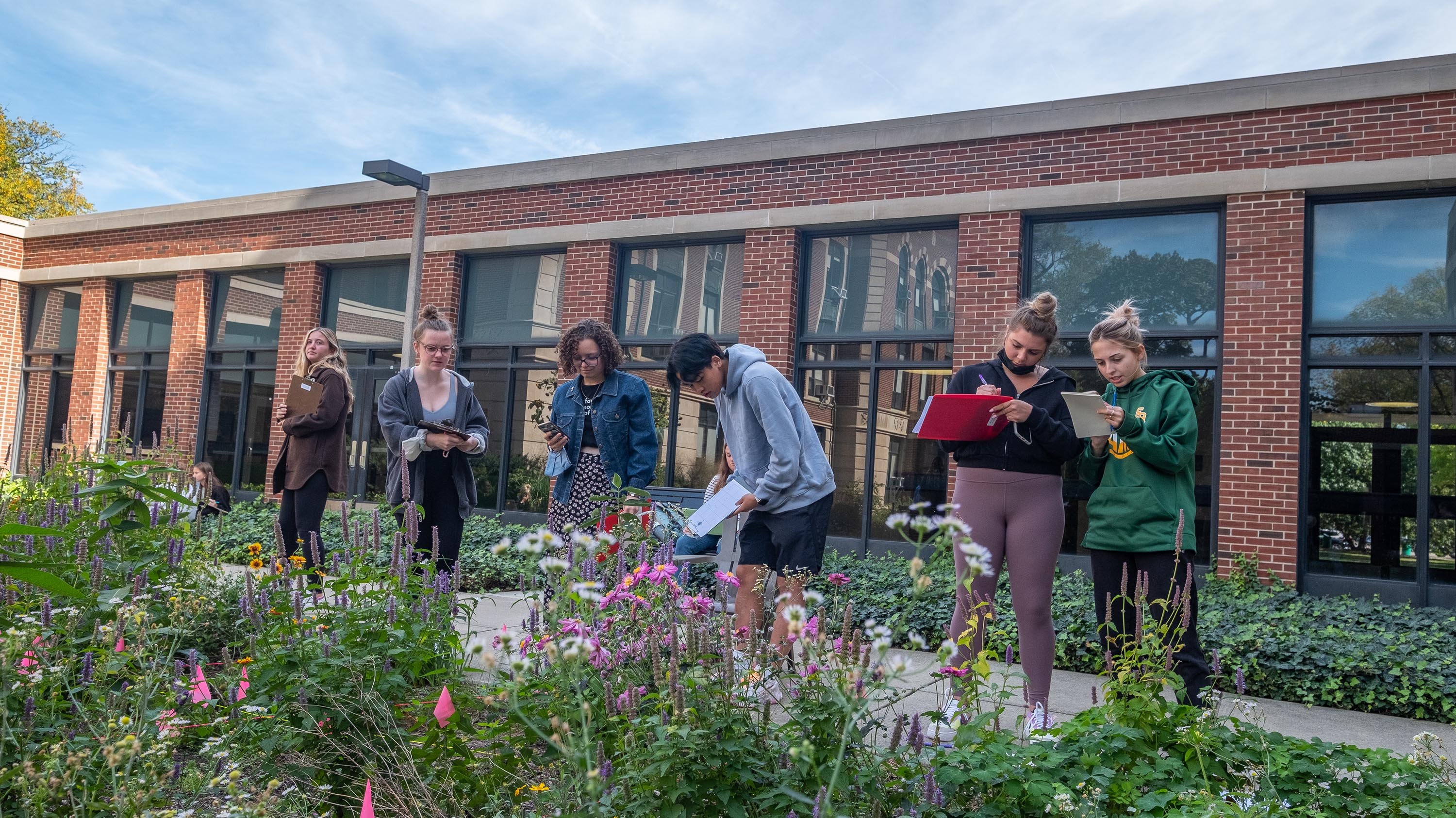Students identifying plants in a small garden