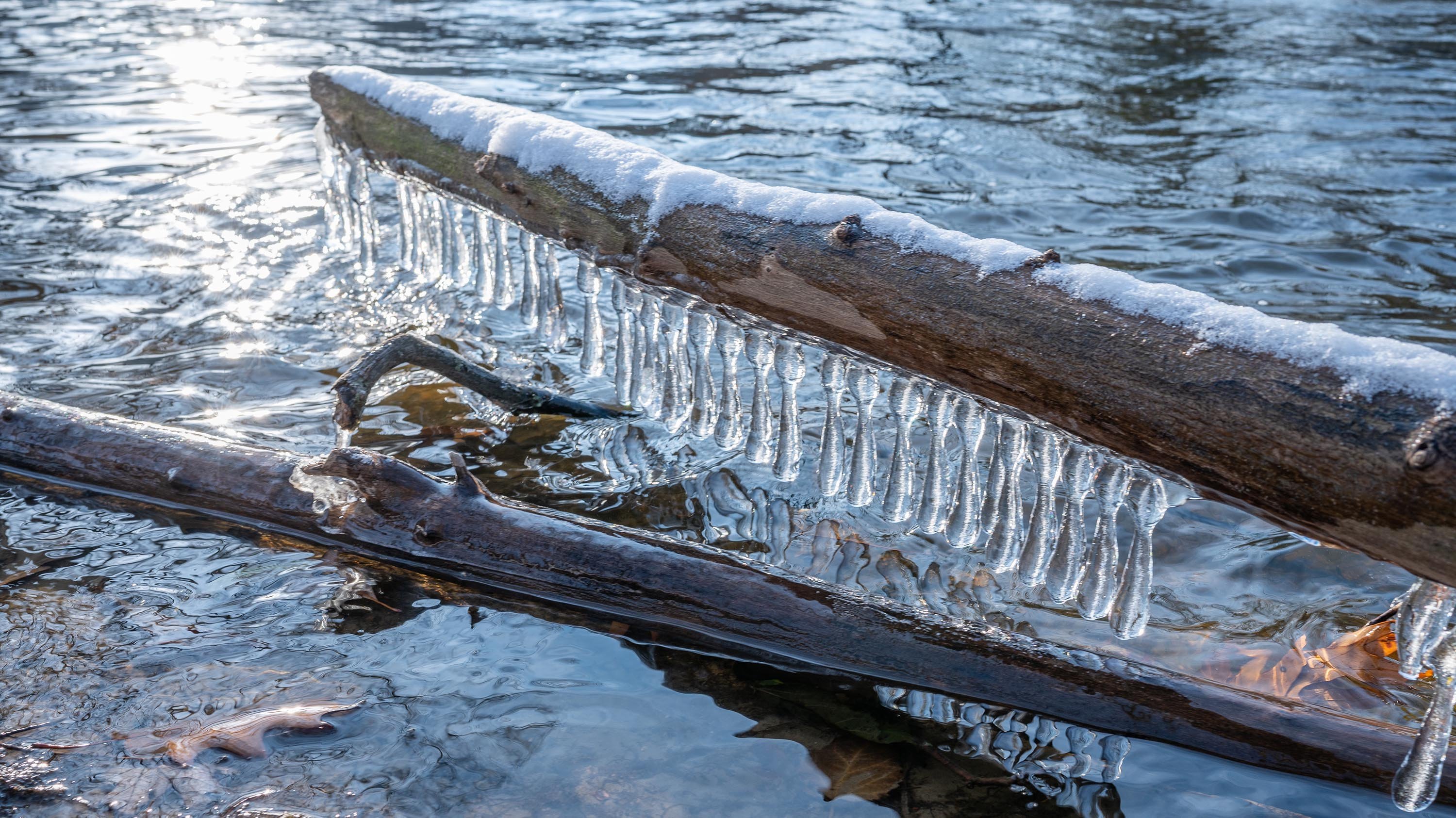 Icicles on a log in Red Cedar river