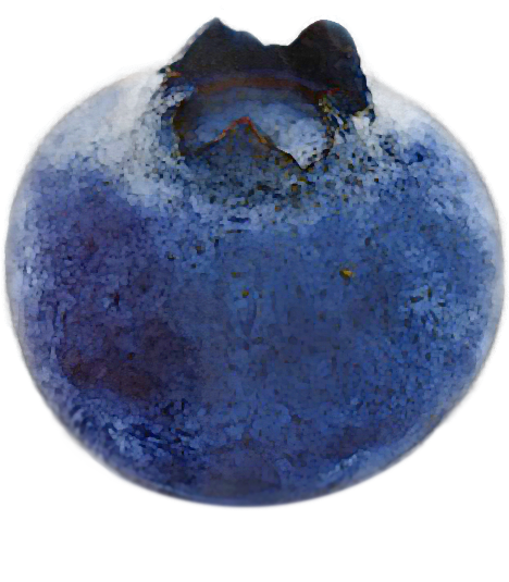 blueberry