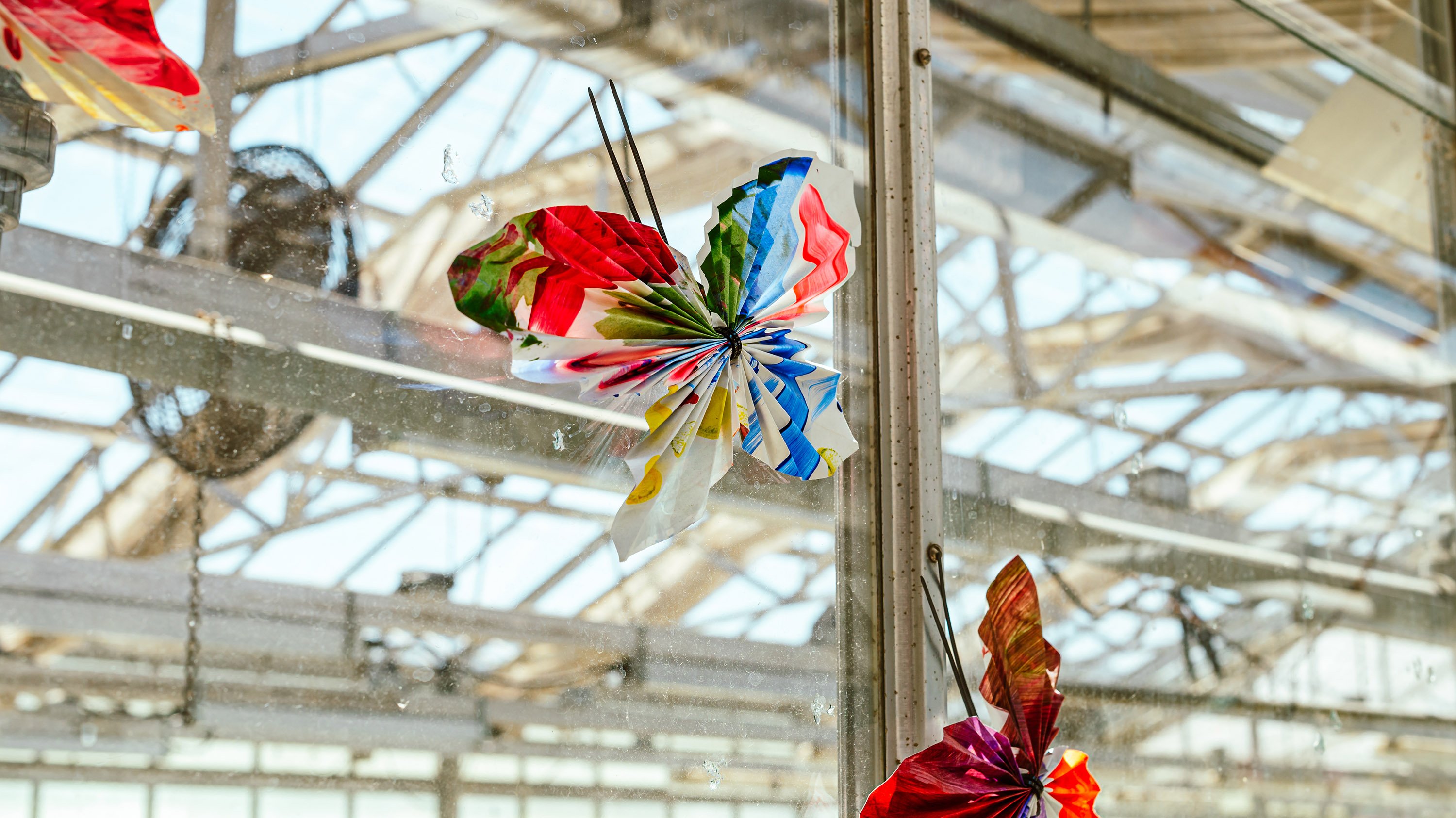 Paper butterflies on the wall of a greenhouse