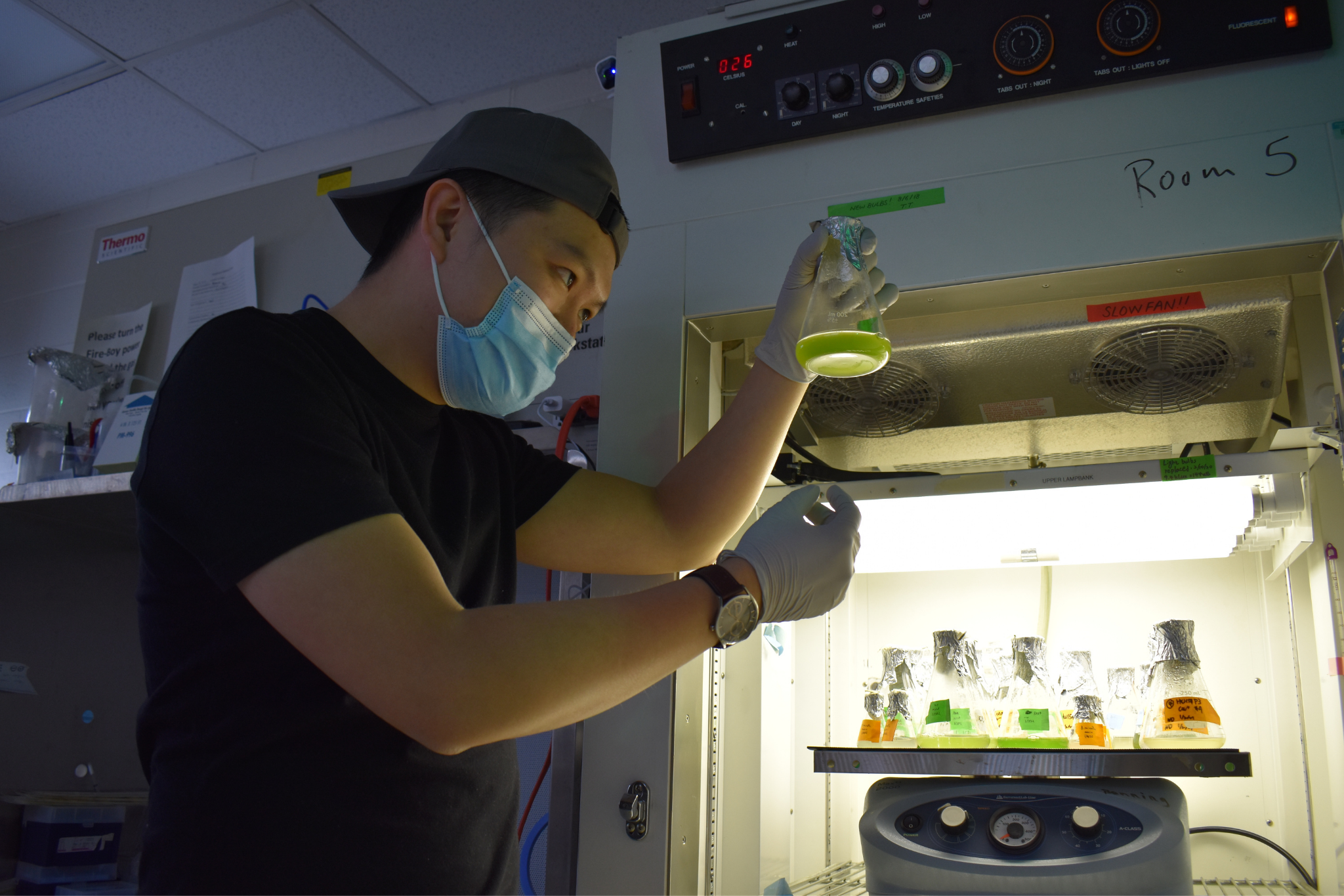 Tsung checks an algal cell culture grown in a light chamber.