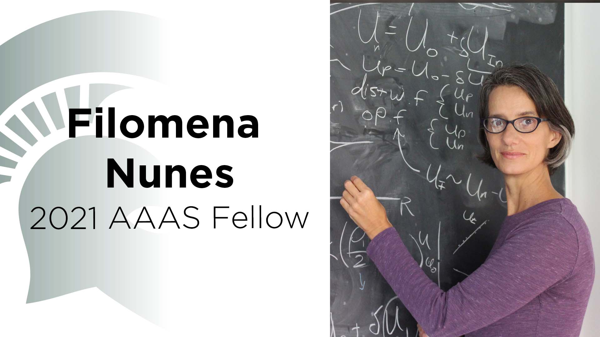 Filomena Nunes, 2021 AAAS Fellow
