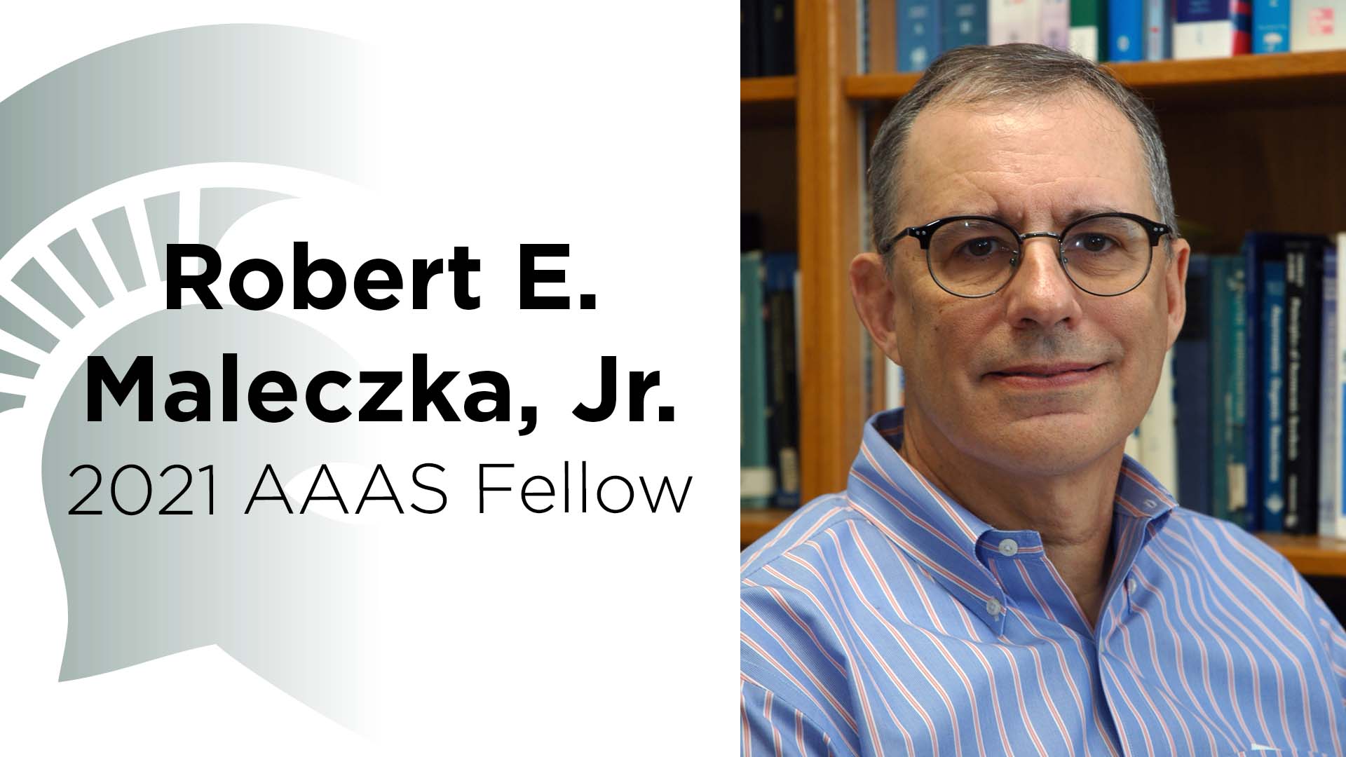 Robert E. Maleczka, Jr., 2021 AAAS Fellow